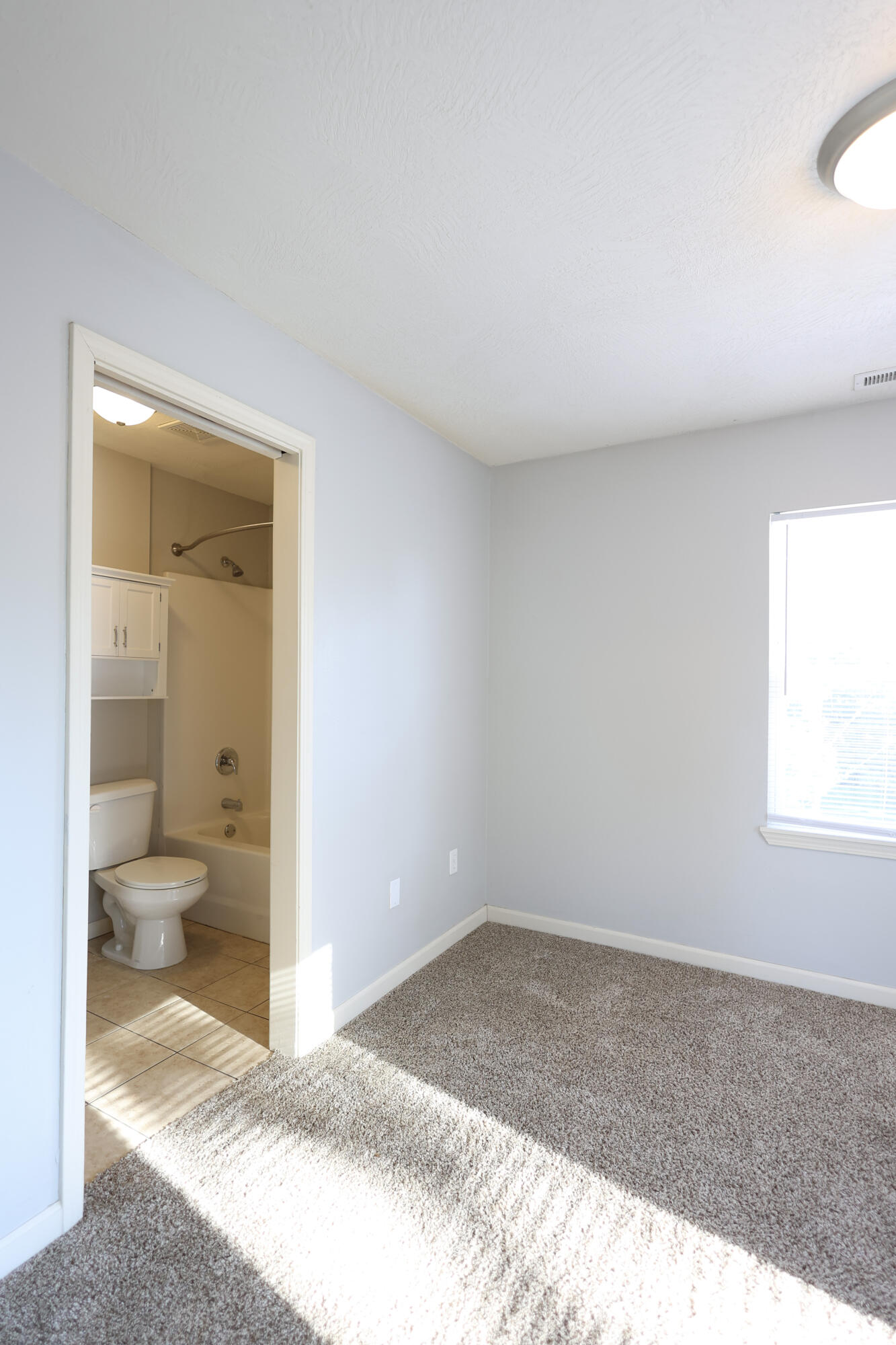 1315 East Elm Street Property Photo 49