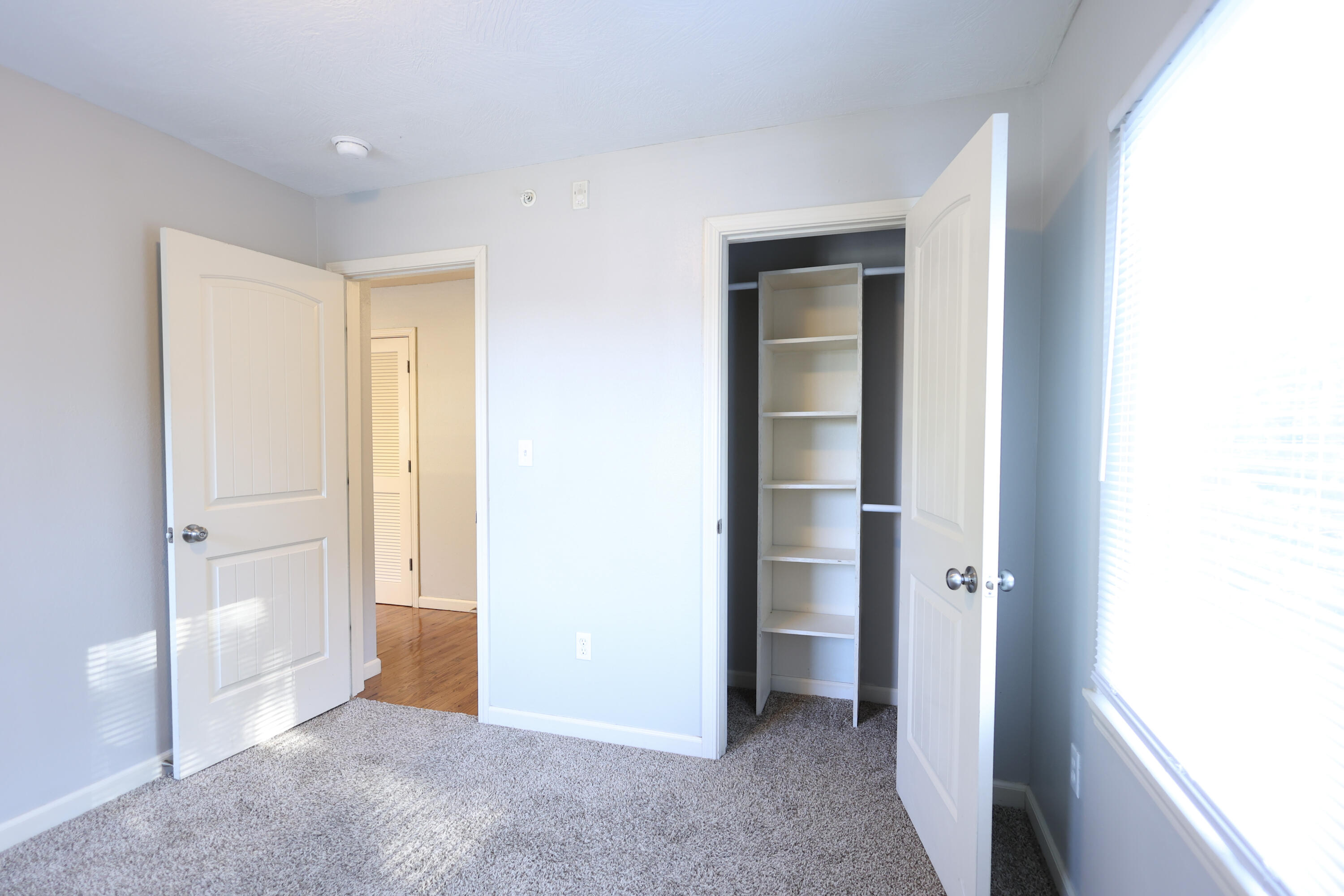 1315 East Elm Street Property Photo 50