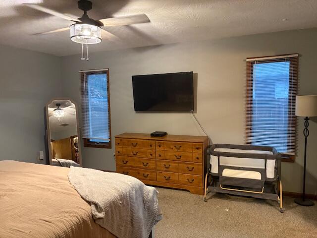 826 Terrace Drive Property Photo 20