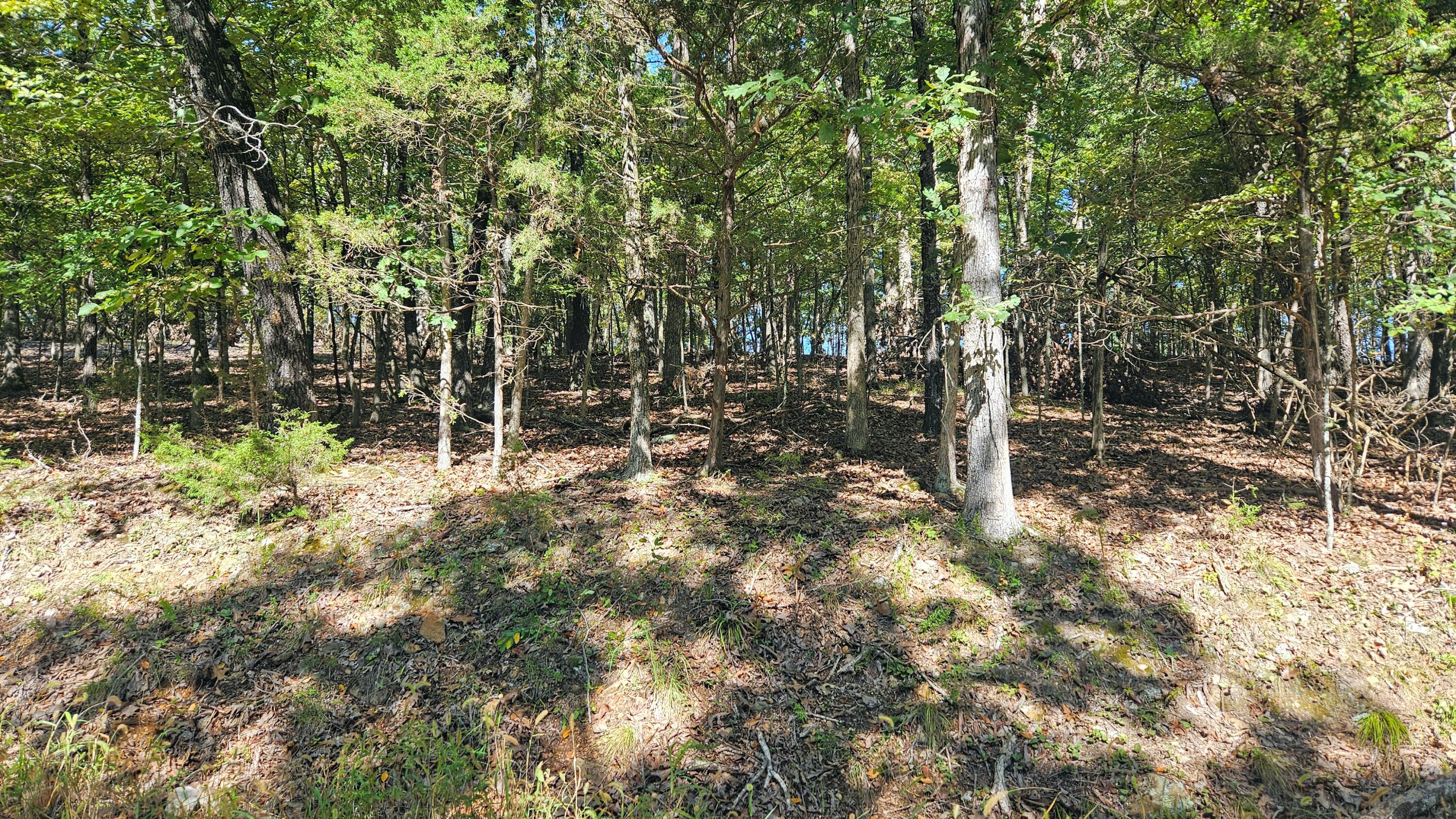 000 Tbd Brookside Circle Property Photo