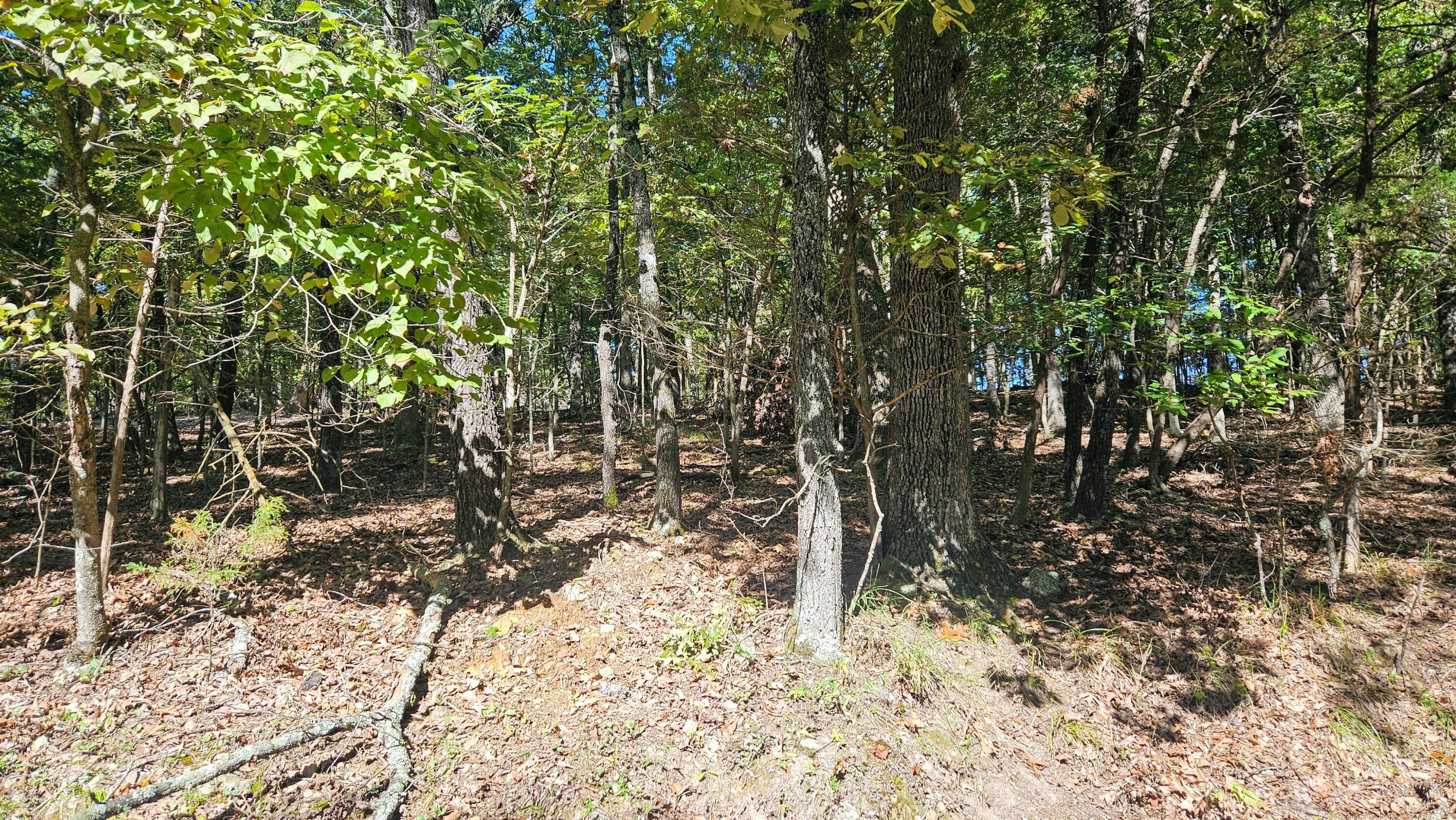 000 Tbd Brookside Circle Property Photo 2