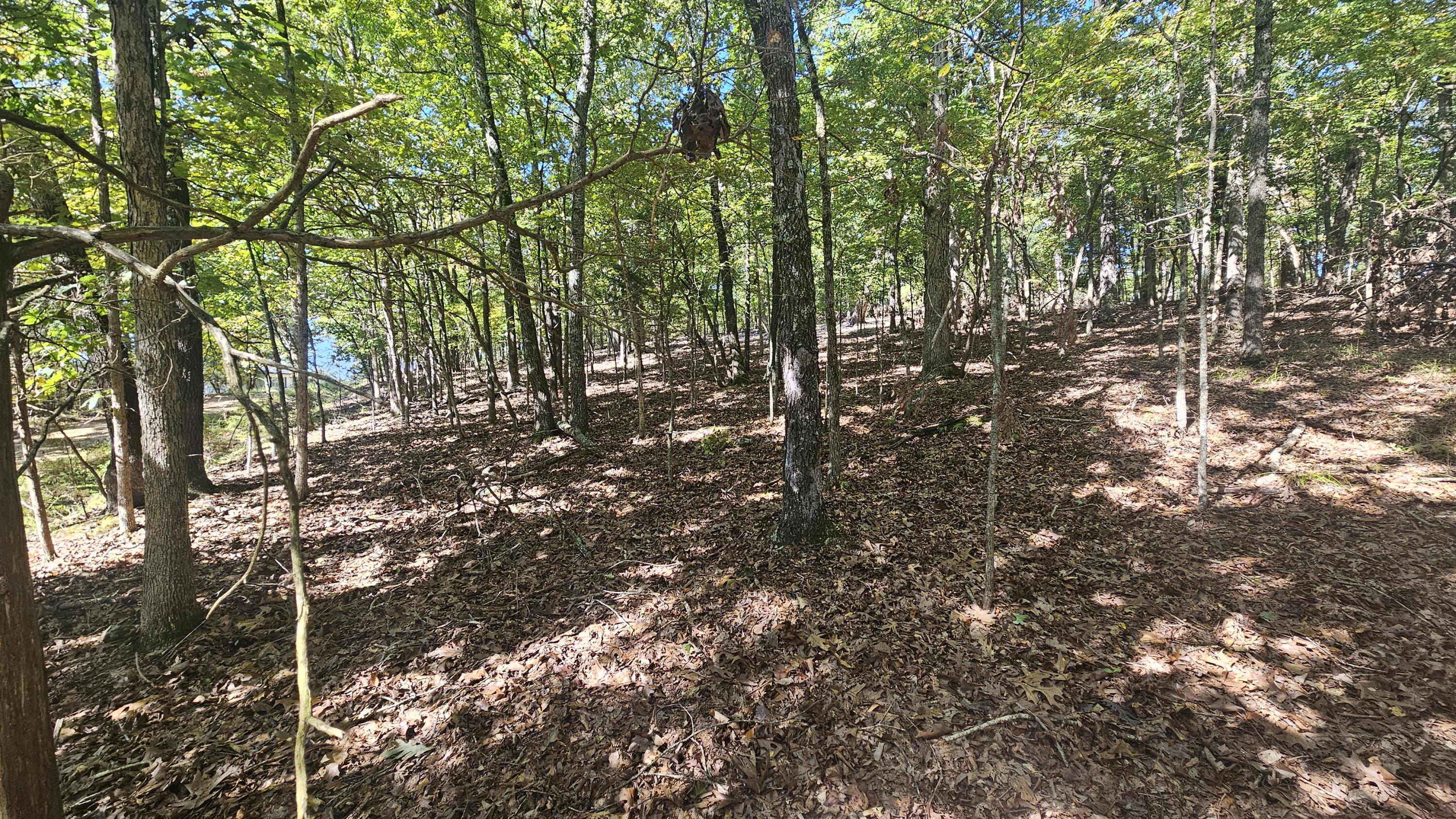 000 Tbd Brookside Circle Property Photo 3