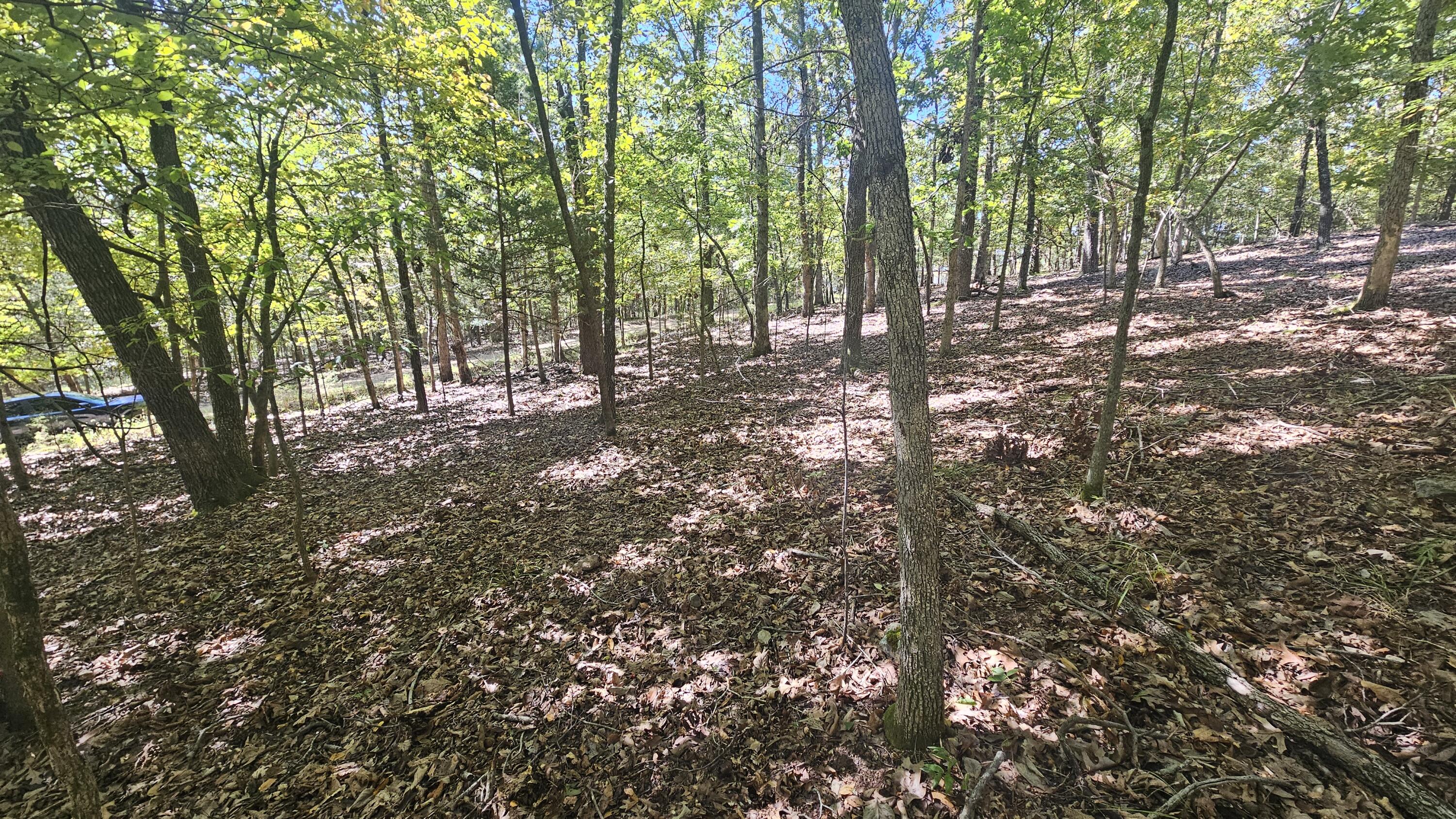 000 Tbd Brookside Circle Property Photo 4