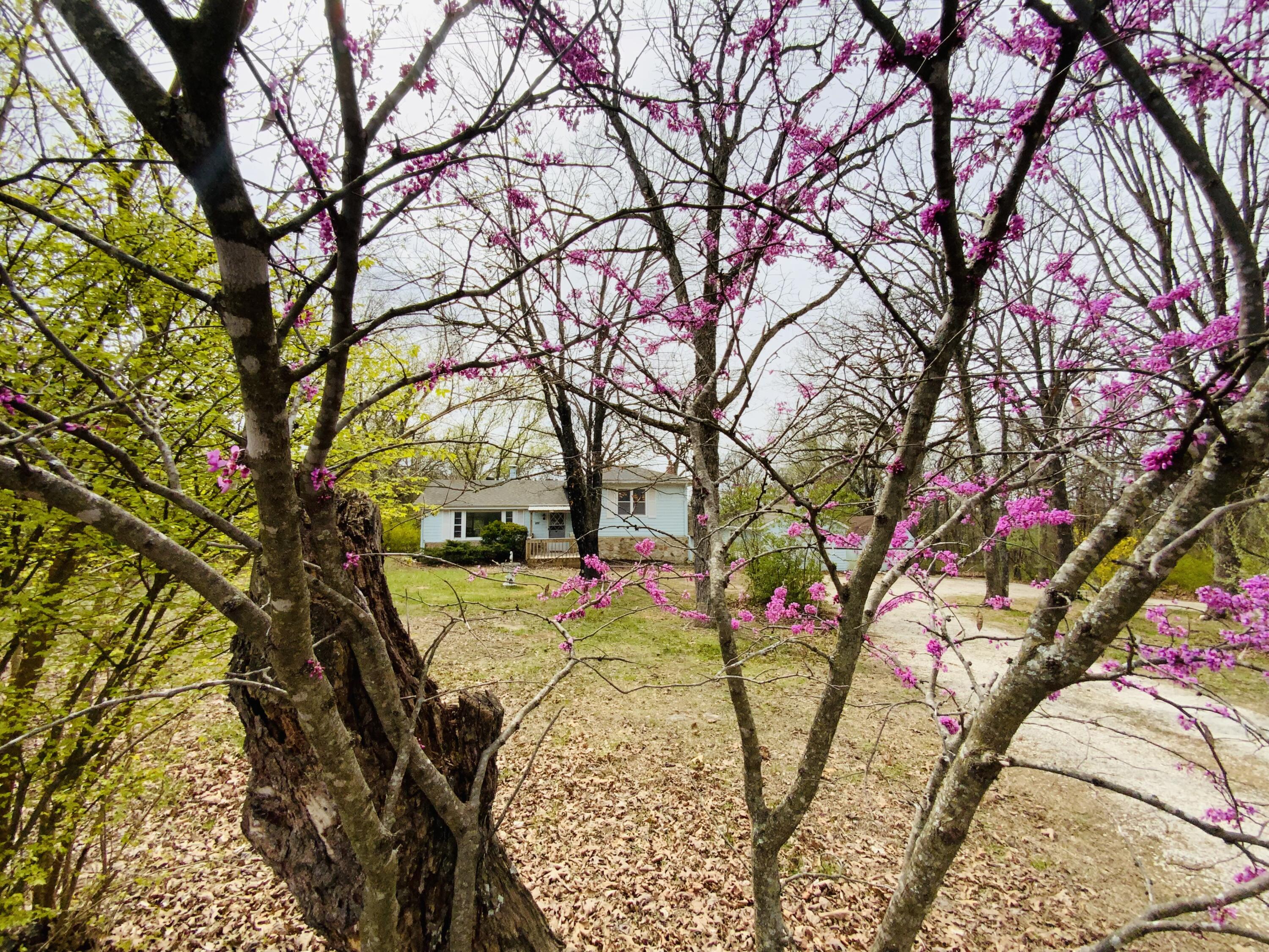 1172 East 318th Road Property Photo 4