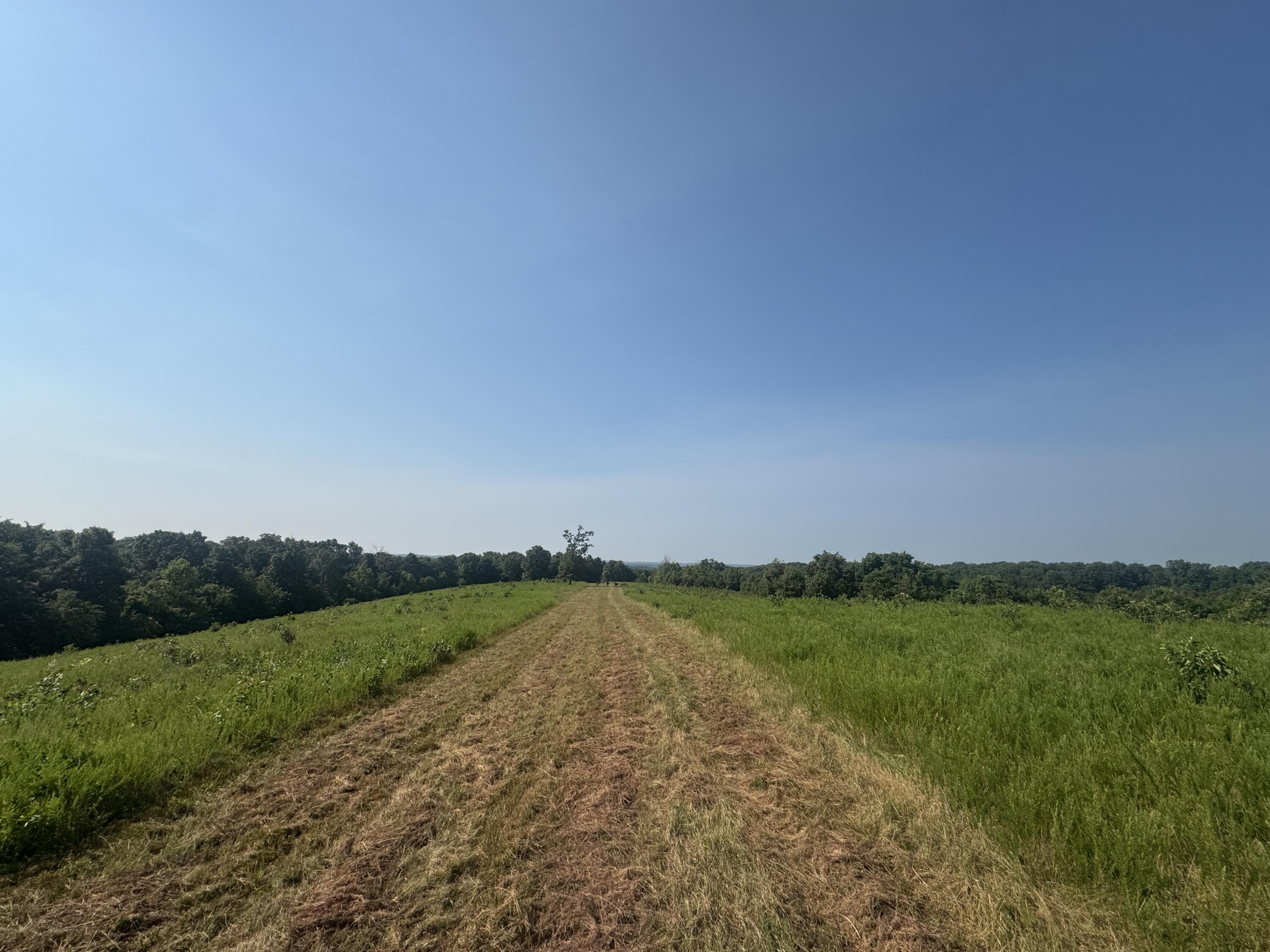 000 Buckeye Lane Property Photo 1