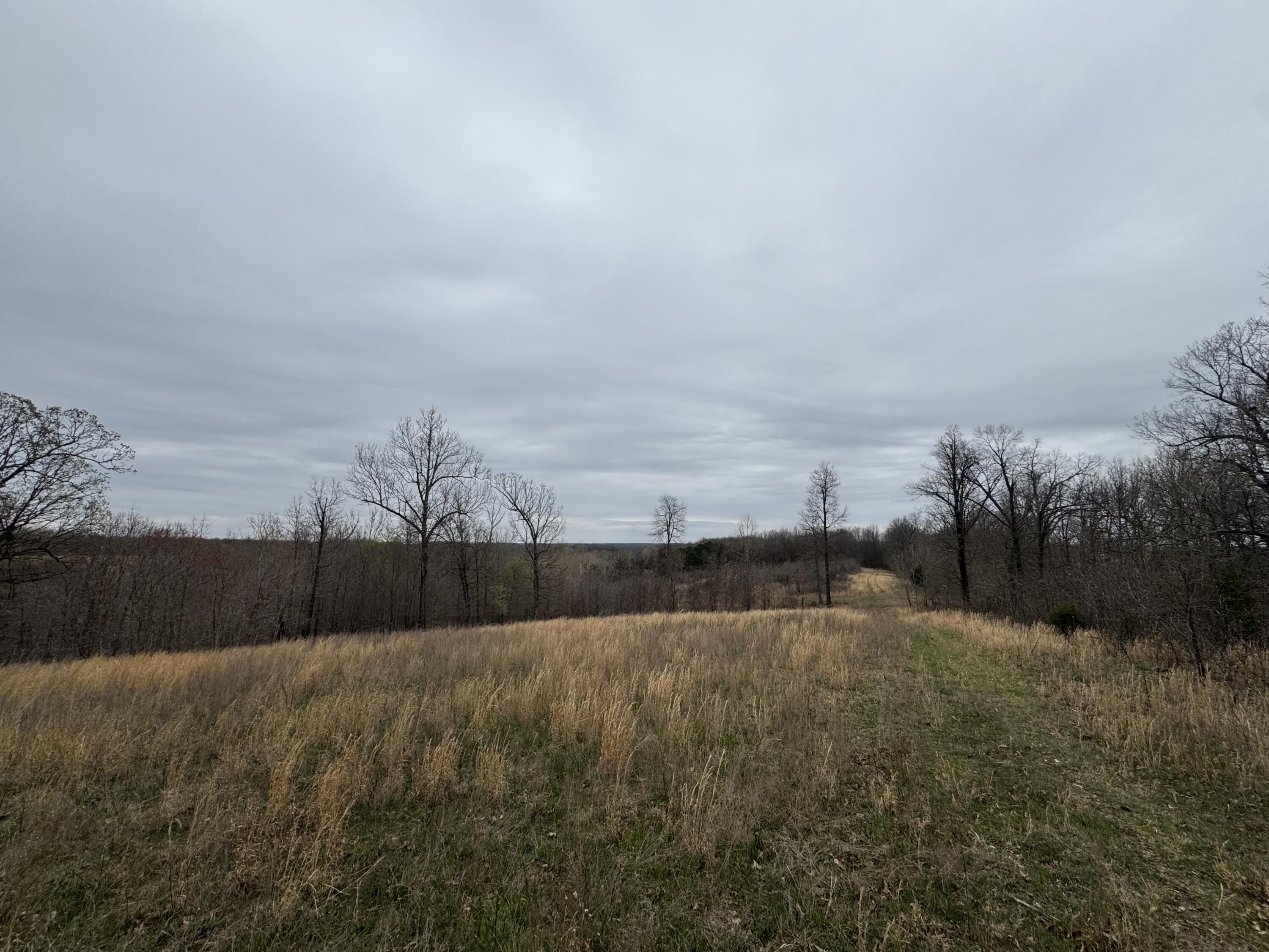 000 Buckeye Lane Property Photo 3