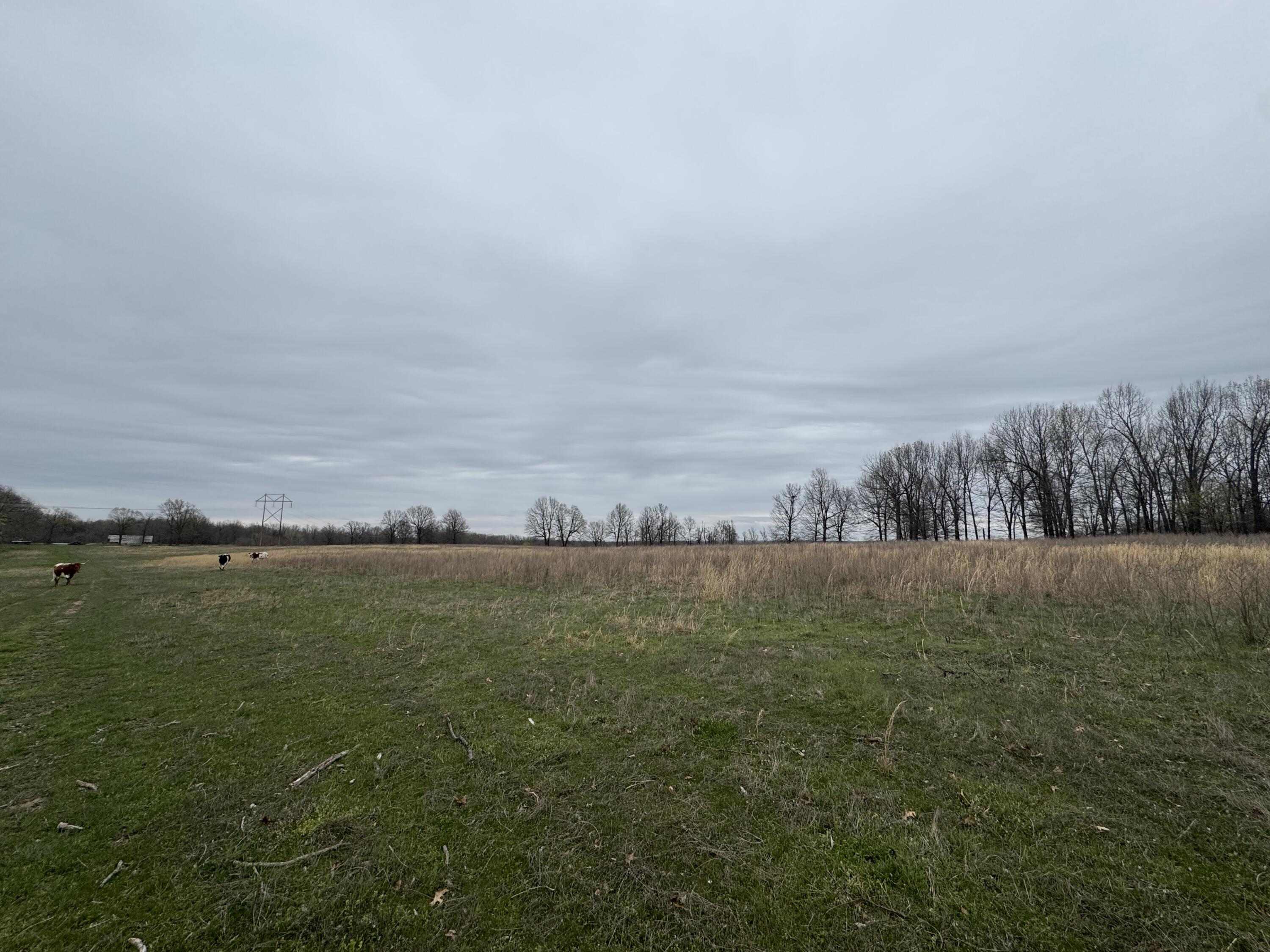 000 Buckeye Lane Property Photo 6