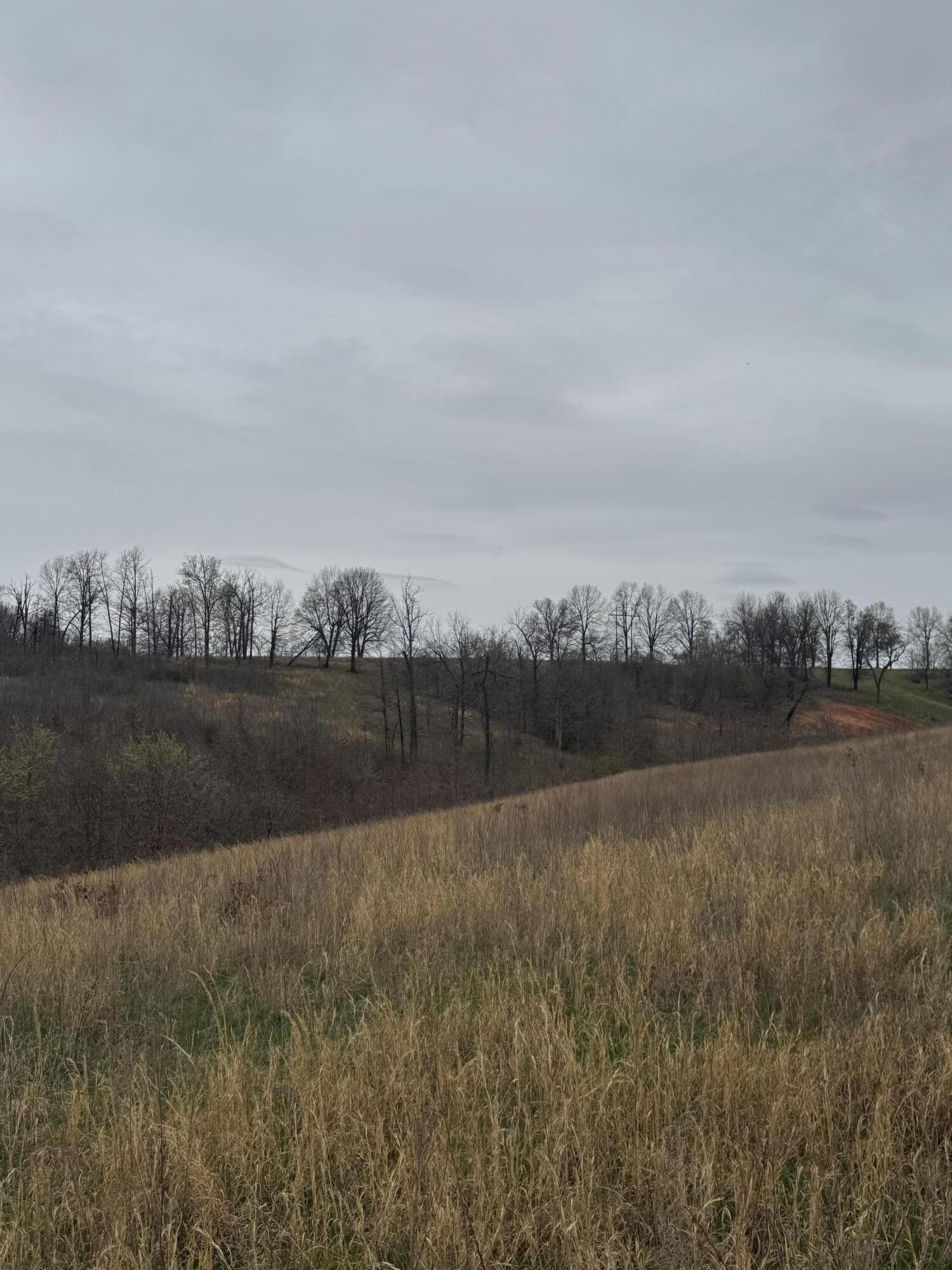 000 Buckeye Lane Property Photo 8