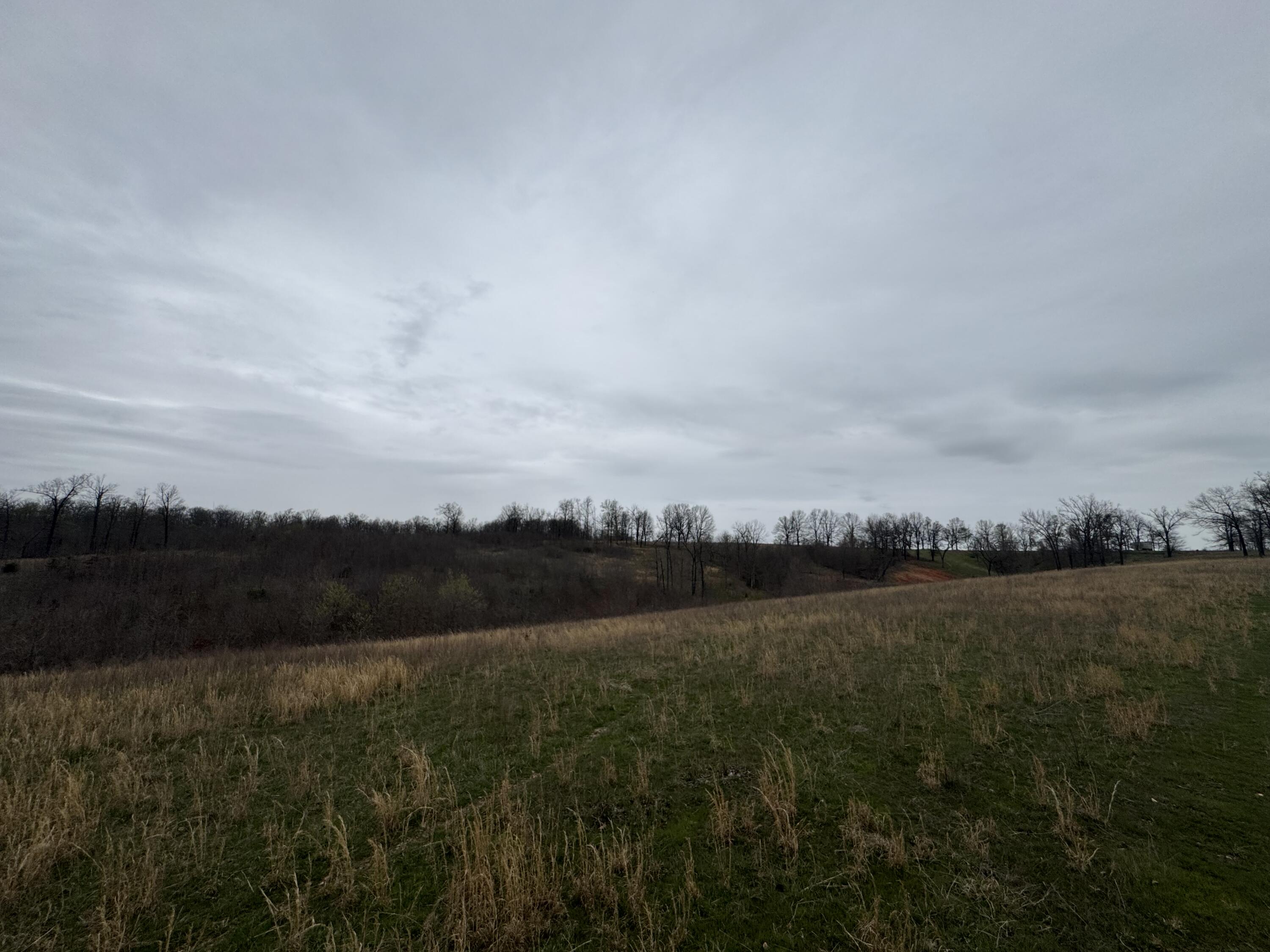 000 Buckeye Lane Property Photo 12