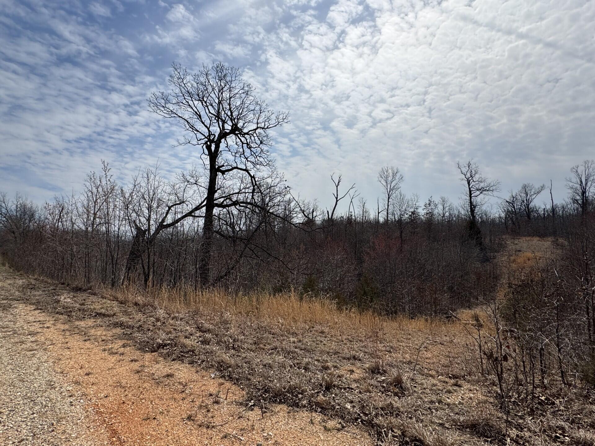 000 Timber Circle Property Photo 1