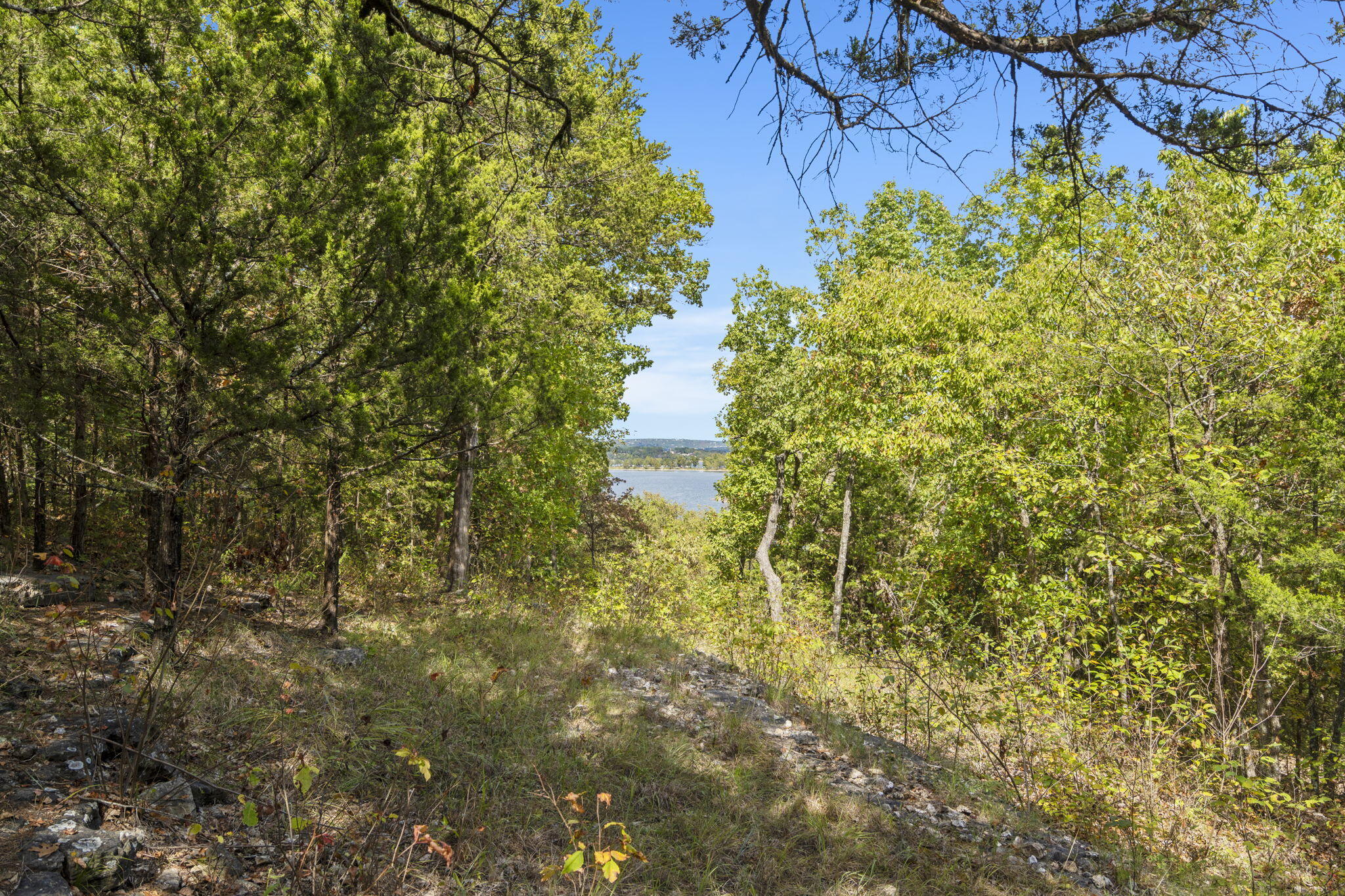 000 Pheasant Run Lane Property Photo