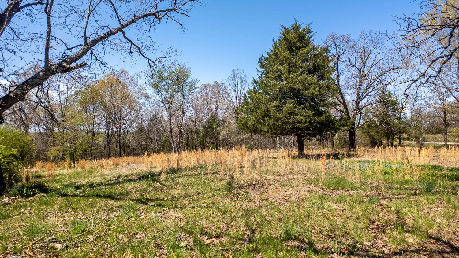 171 Private Road 63-83 Property Photo 6