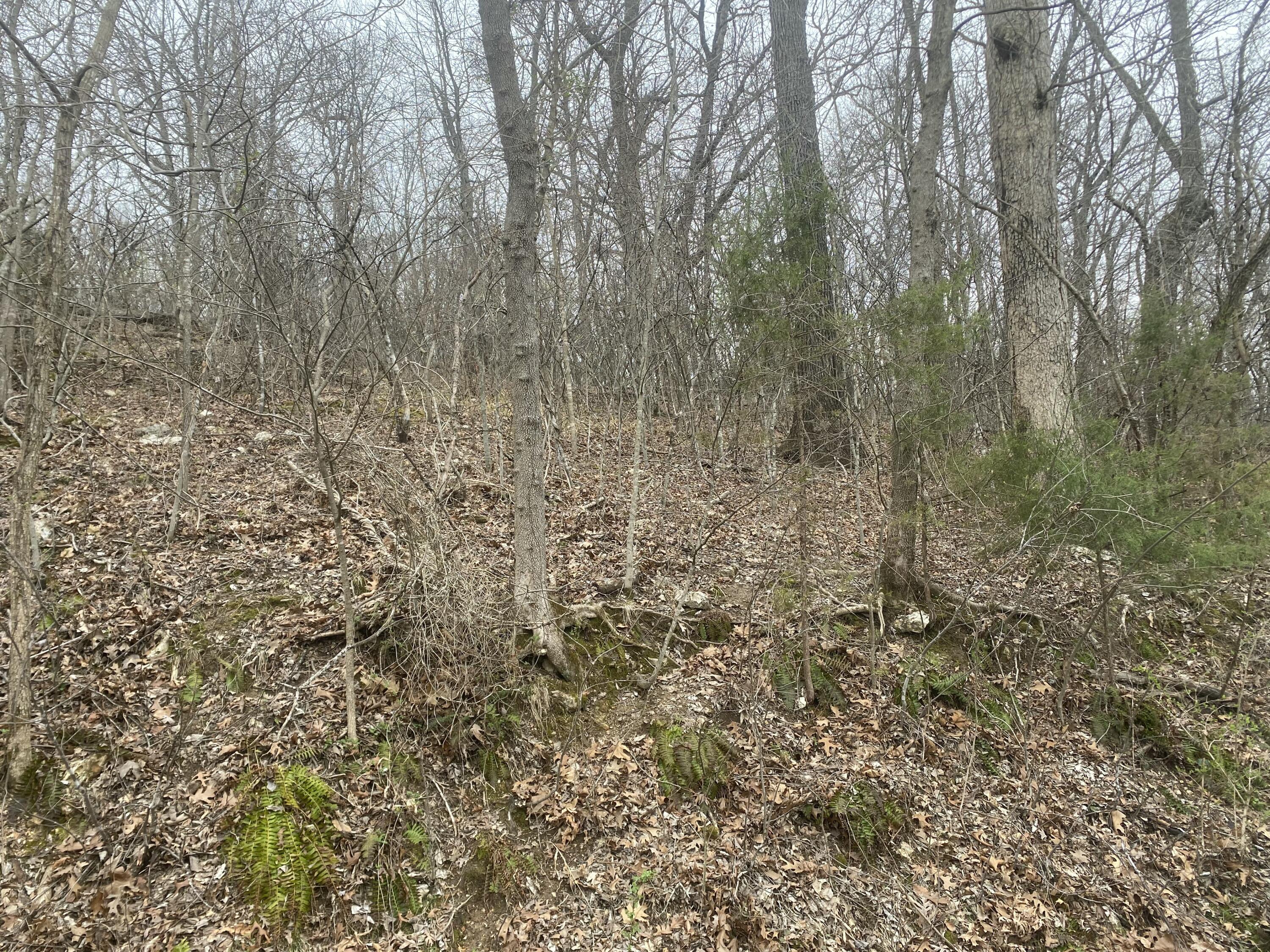97 & 98 Key Largo Road Property Photo 3