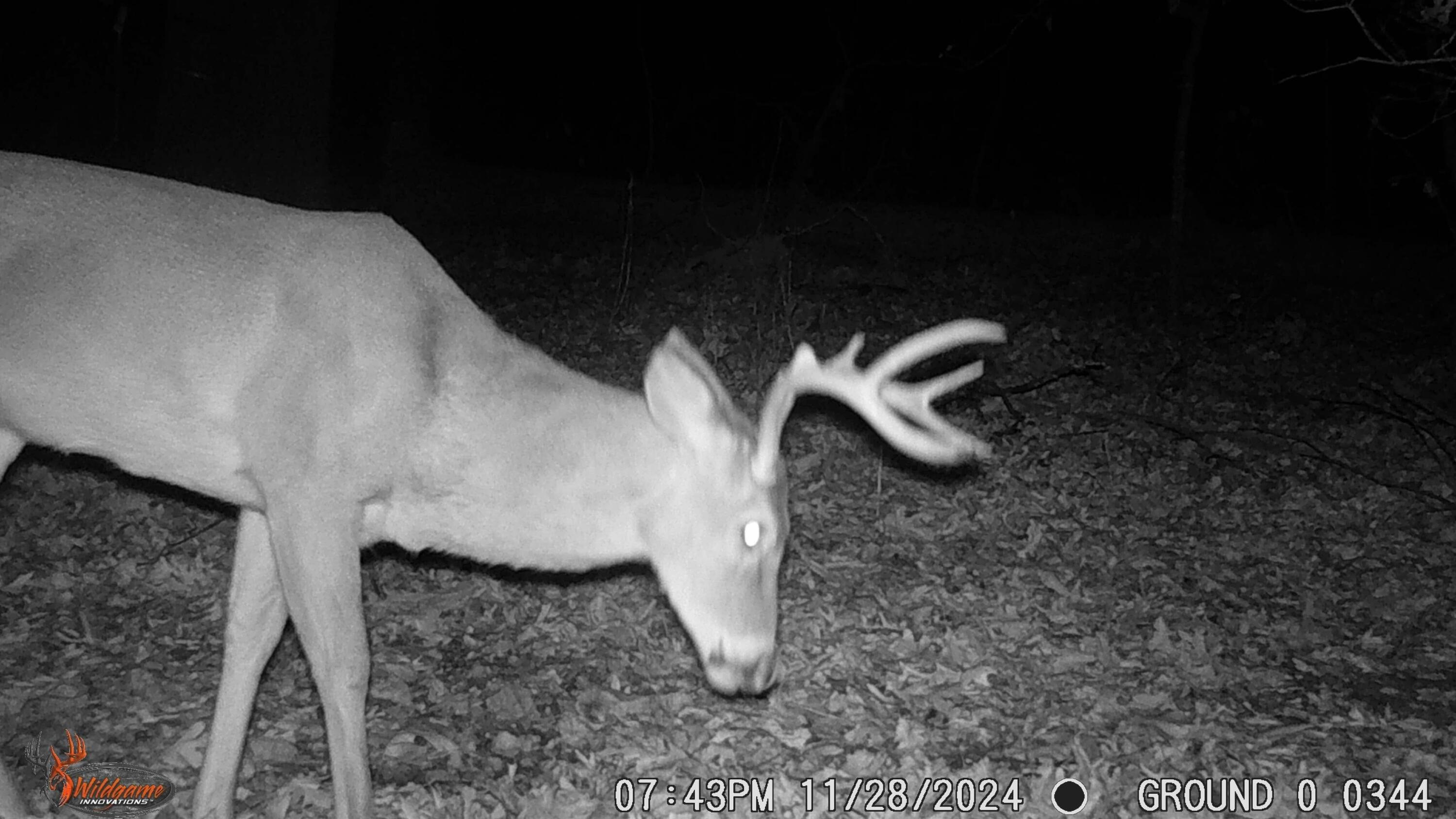 14903 Ida Lane Property Photo 64