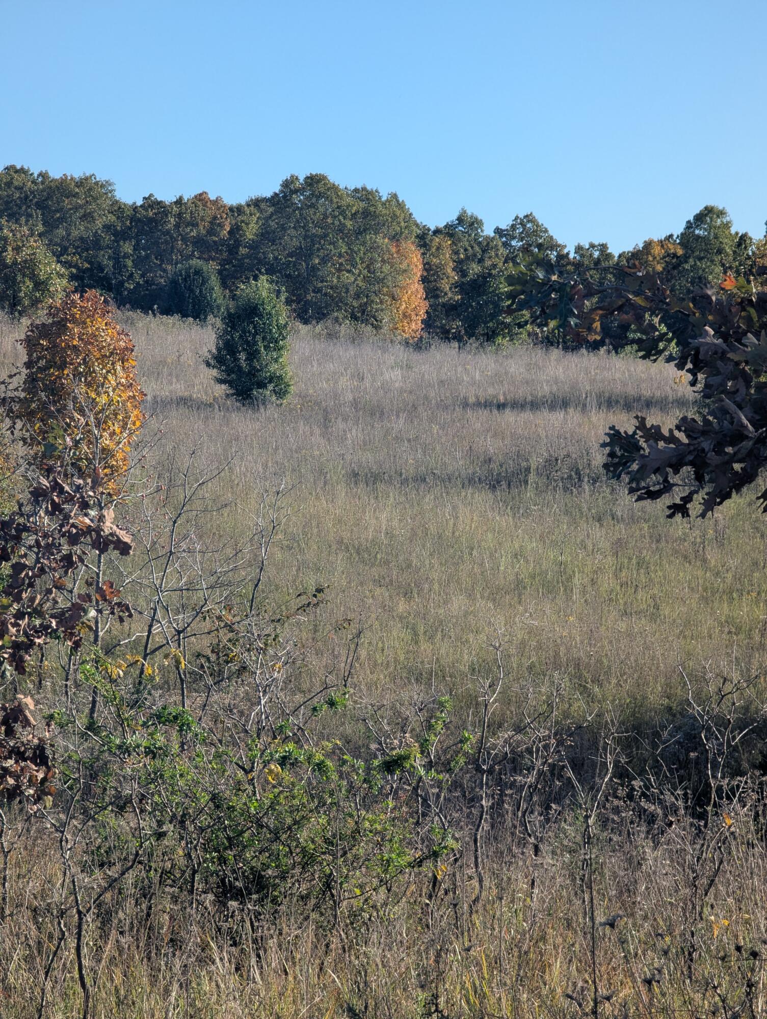 000 County Road 9610 State Rt Pp Property Photo 1