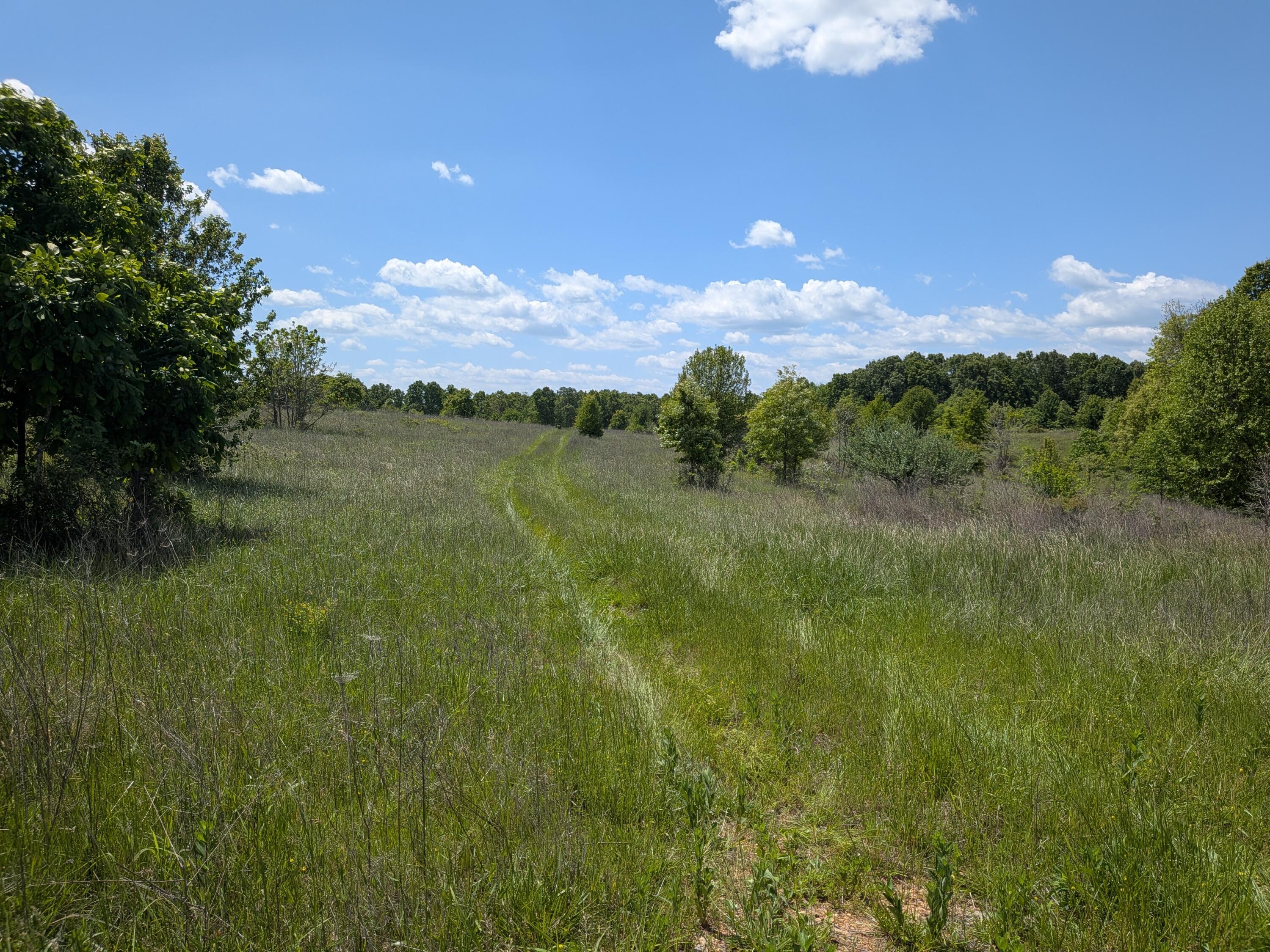 000 County Road 9610 State Rt Pp Property Photo 2