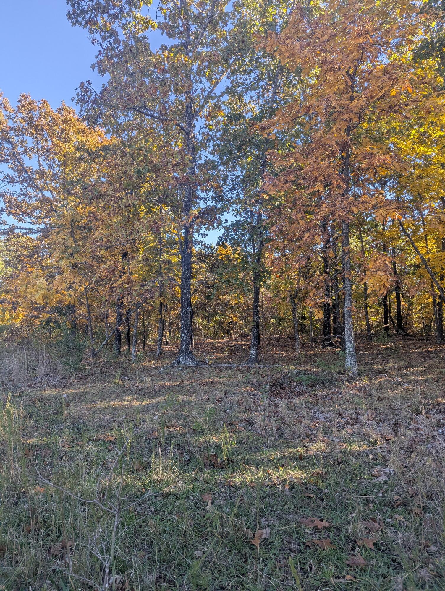000 County Road 9160 Property Photo 1