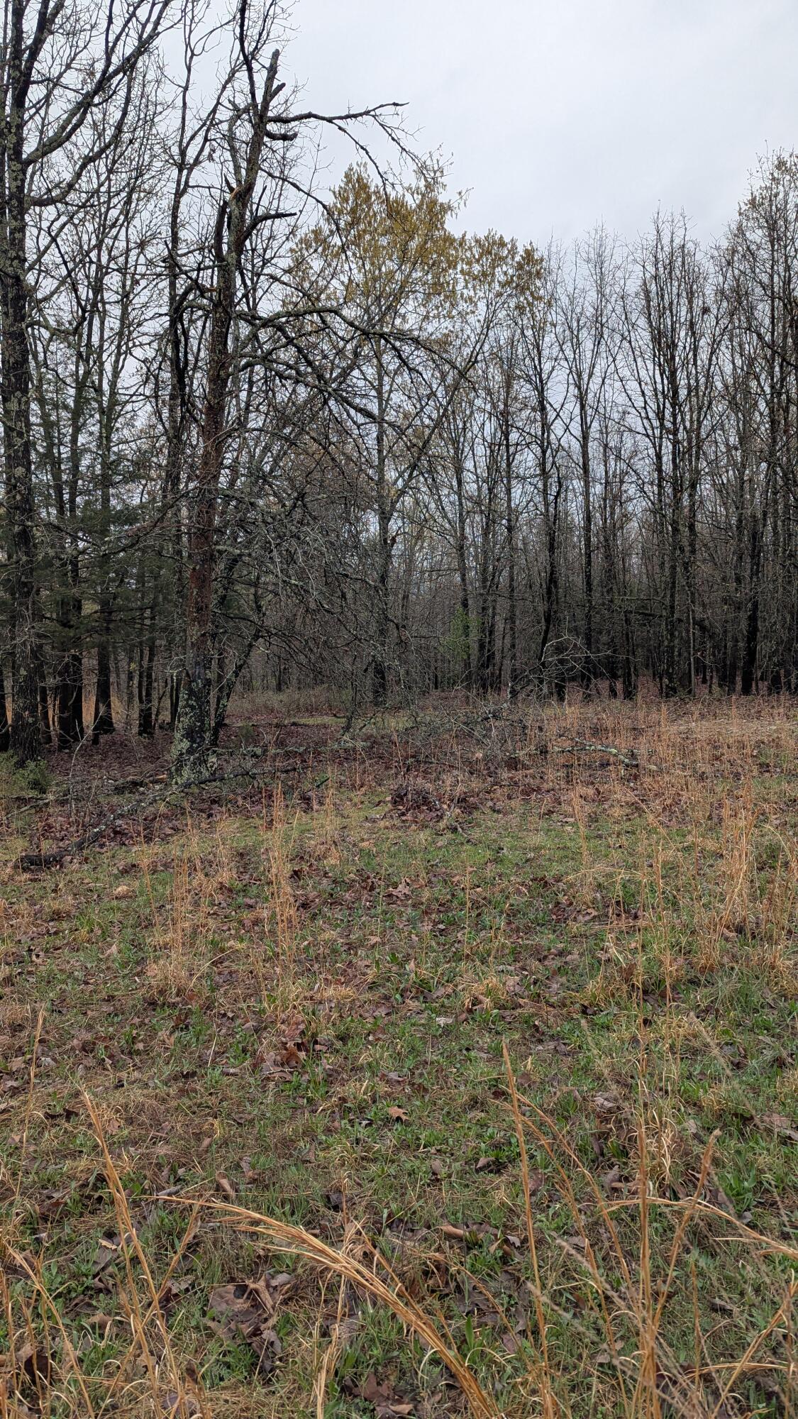 000 County Road 9160 Property Photo 2