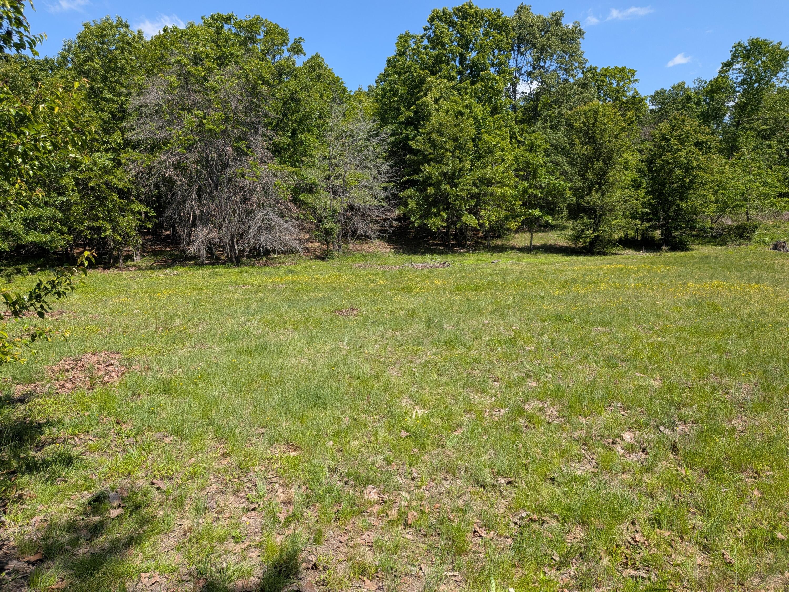 000 County Road 9160 Property Photo 6
