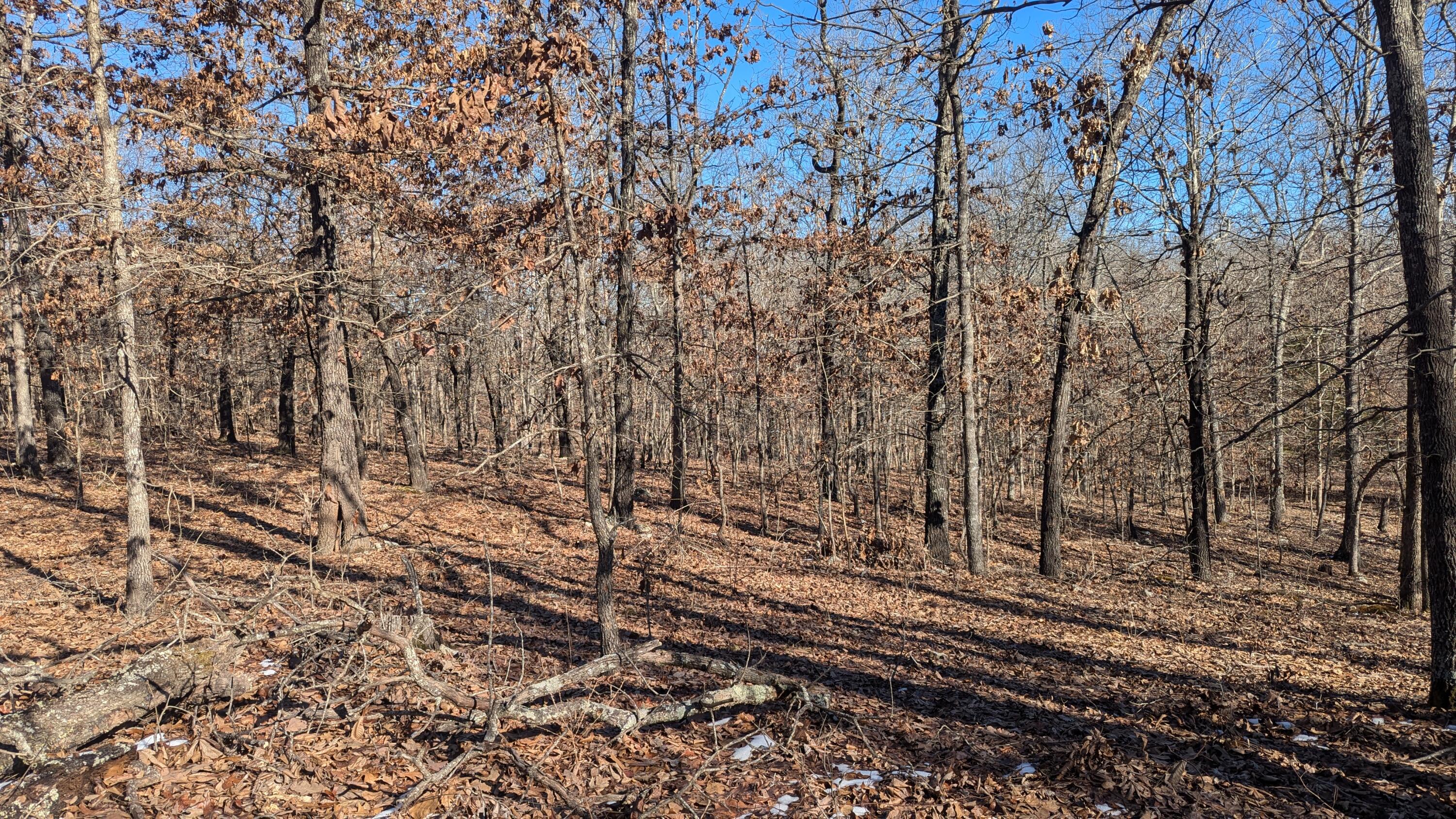 000 County Road 9160 Property Photo 8