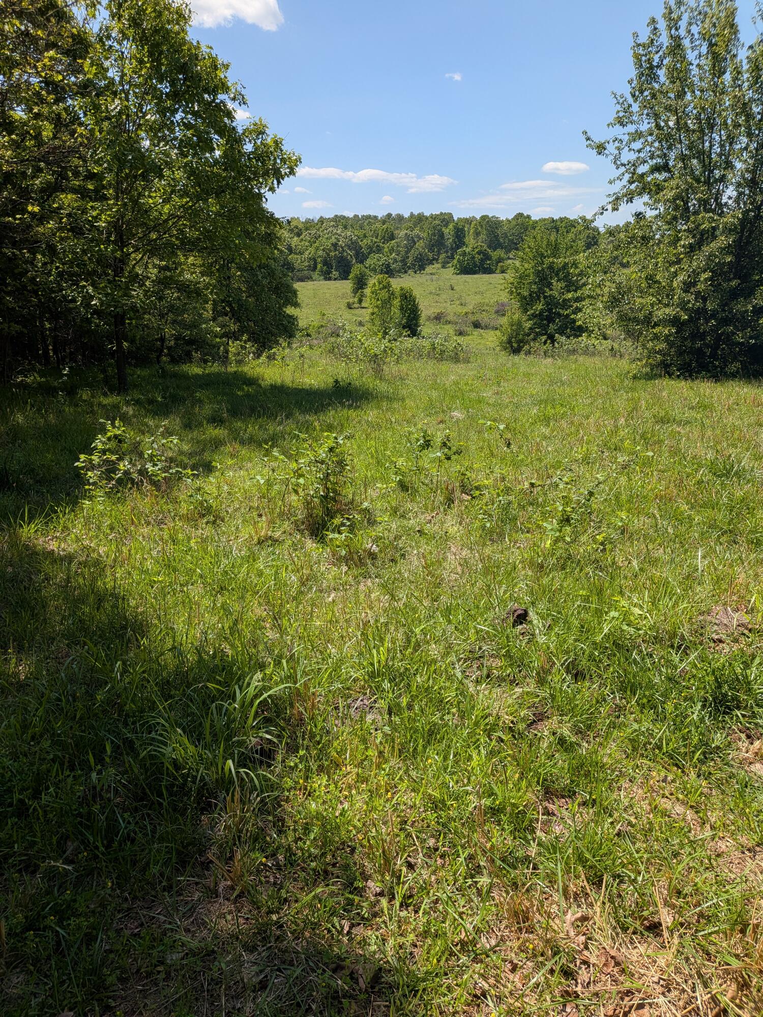 000 County Road 9160 Property Photo 9