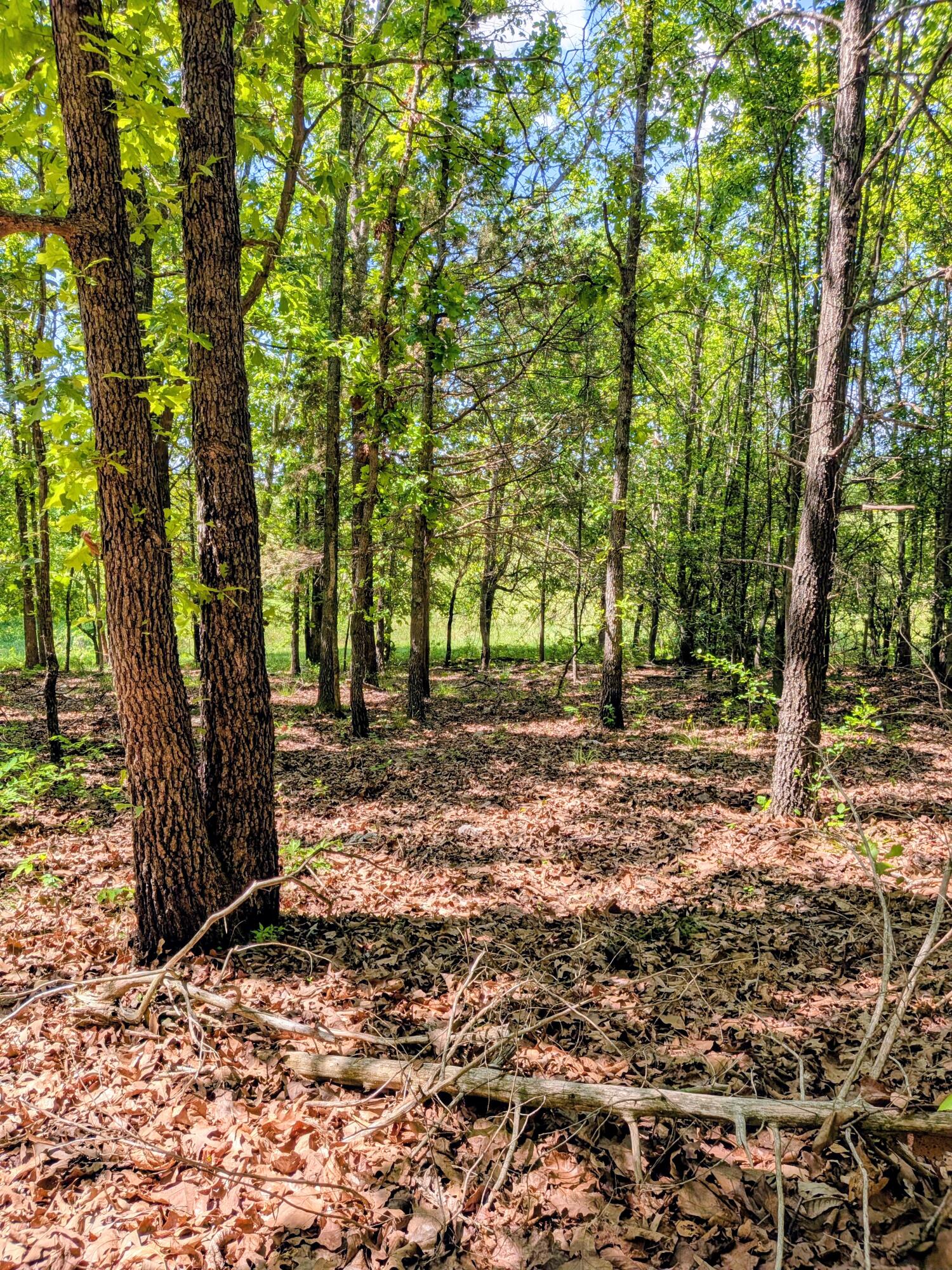 000 County Road 9160 Property Photo 10