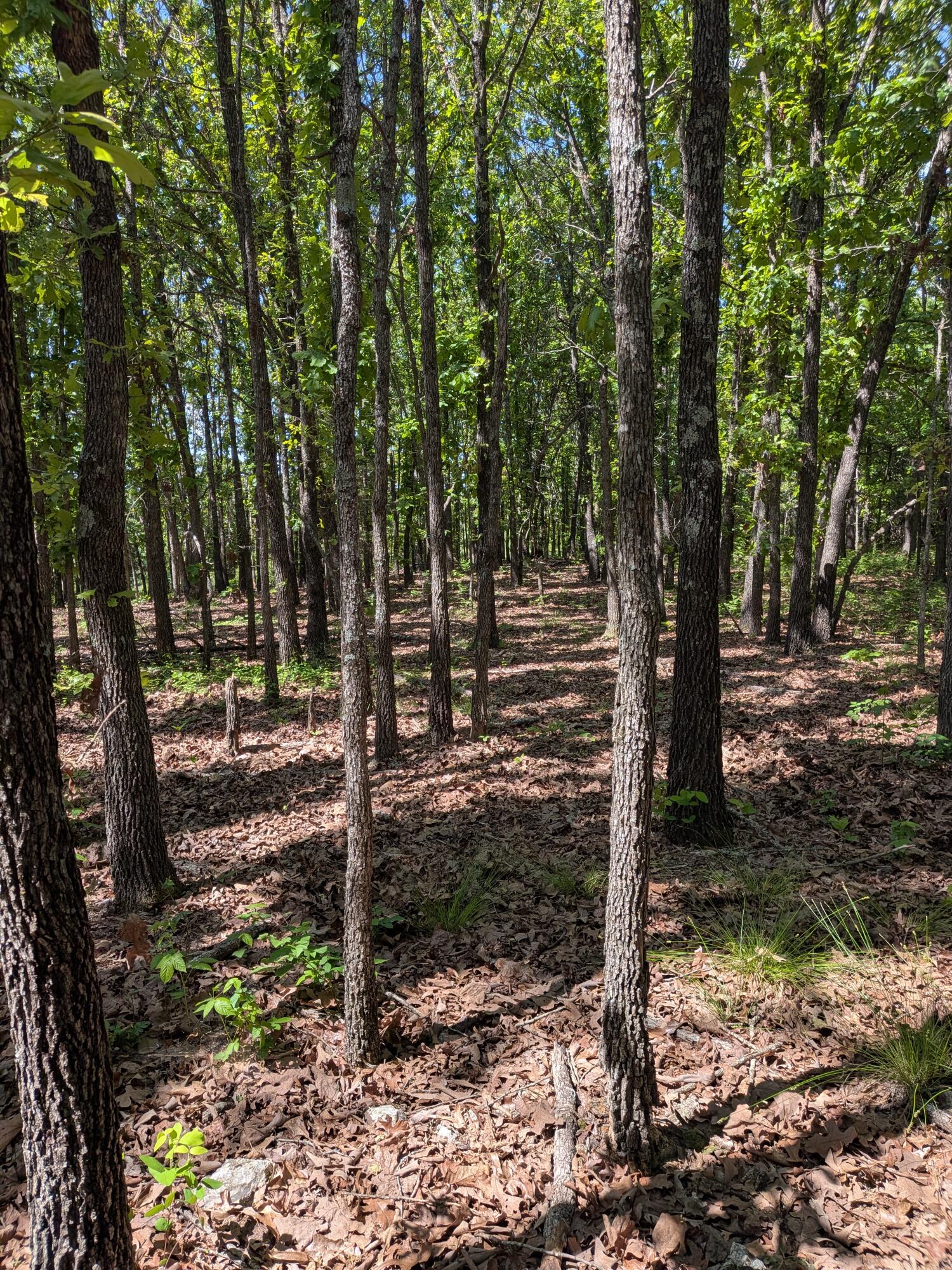 000 County Road 9160 Property Photo 11