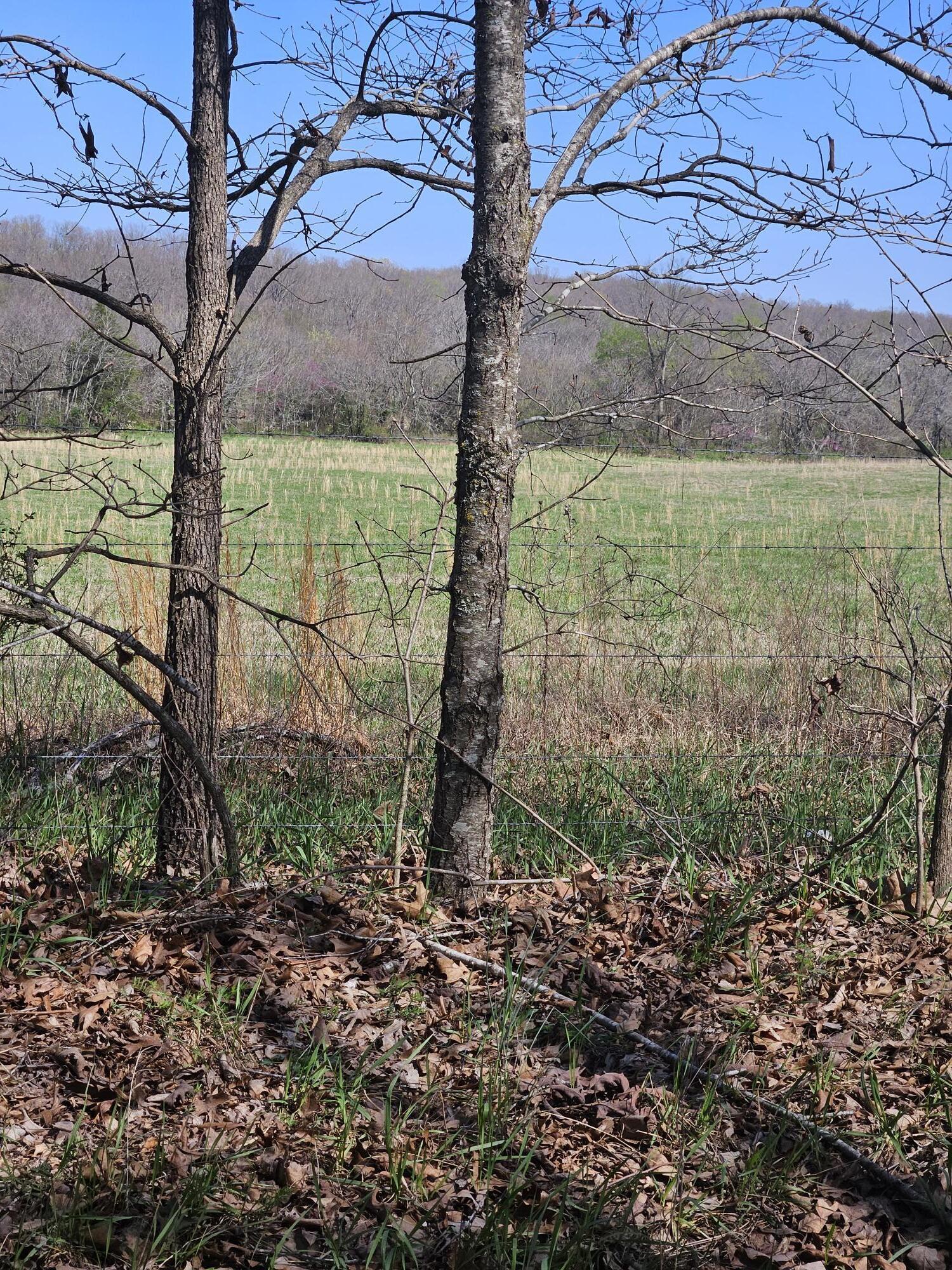 000 County Road 9850 Property Photo 3