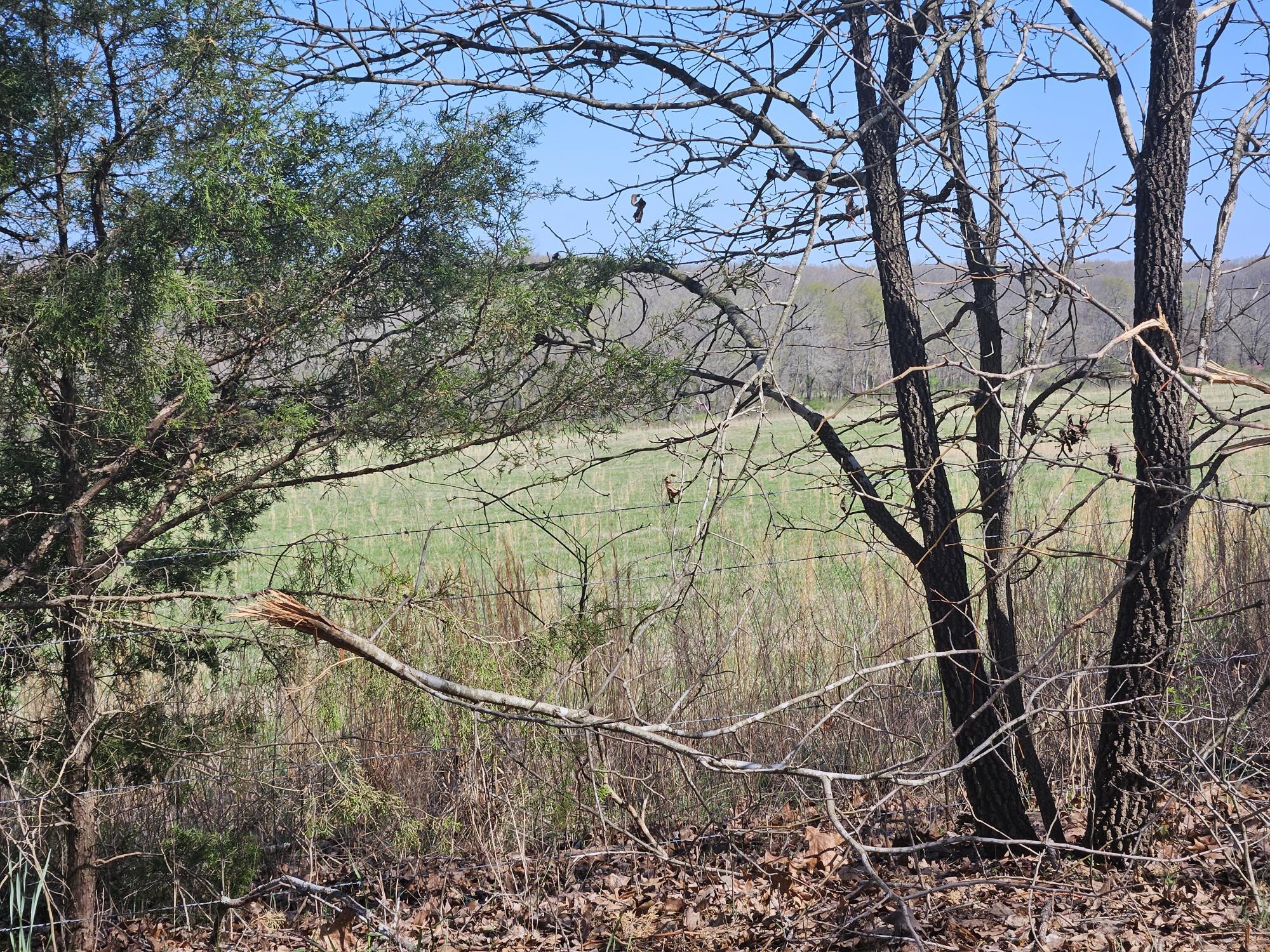 000 County Road 9850 Property Photo 5