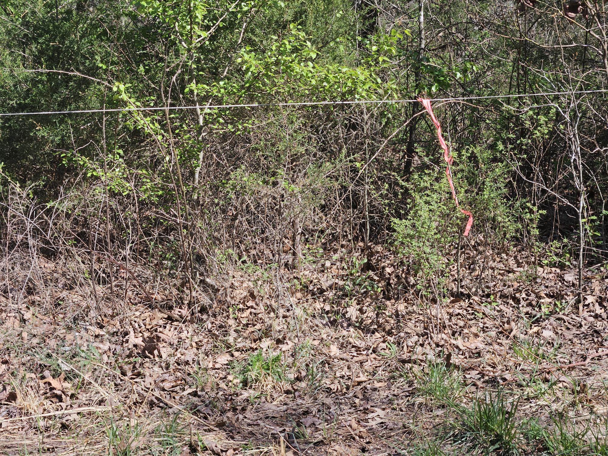 000 County Road 9850 Property Photo 6