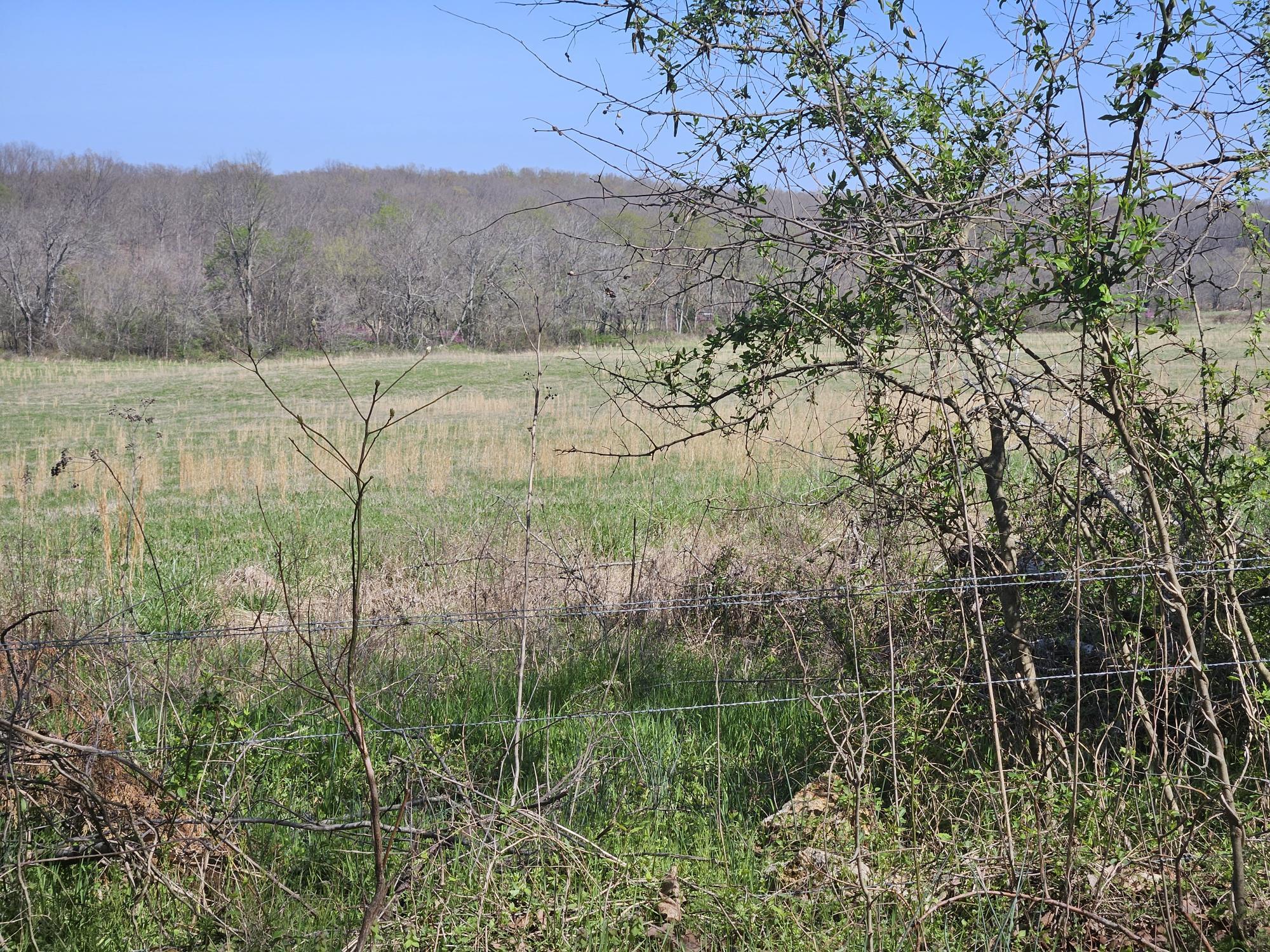 000 County Road 9850 Property Photo 7