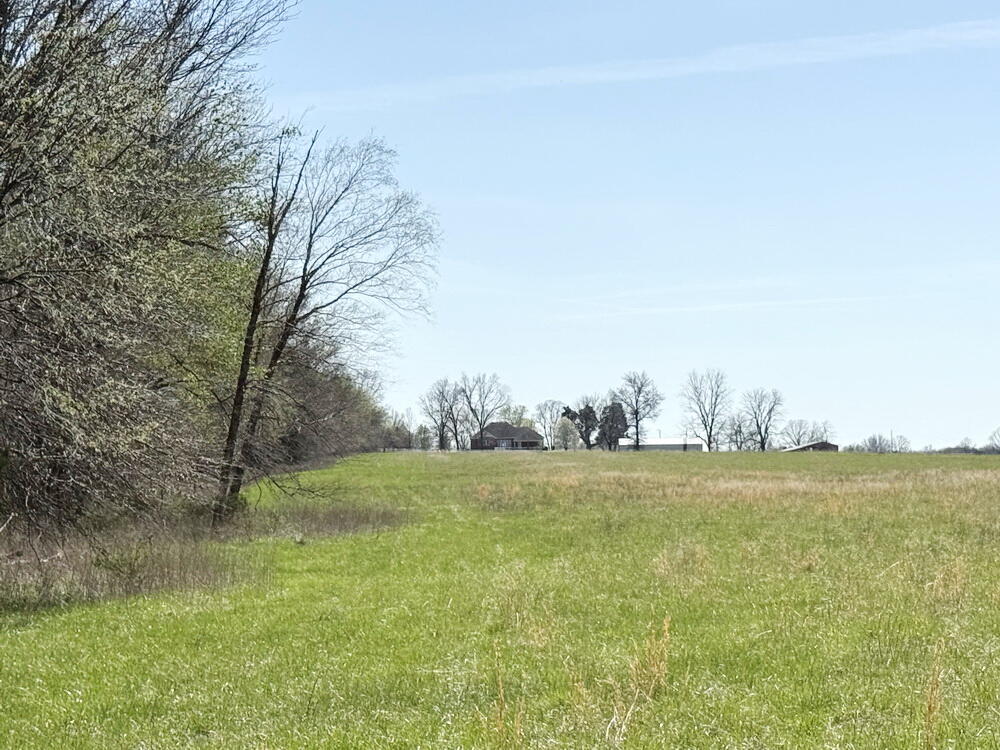 2445 East Highway Bb Property Photo 45