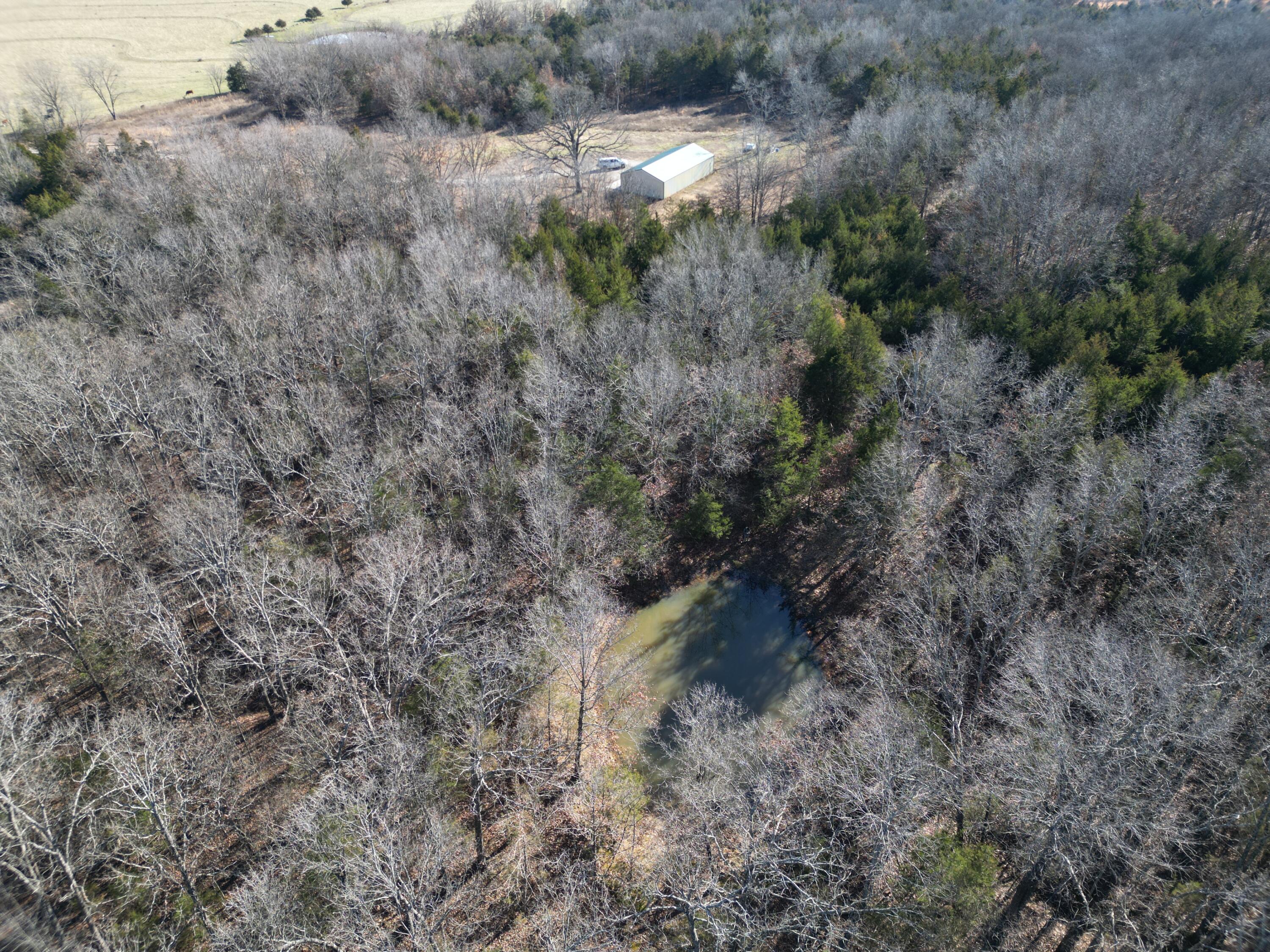 1197 Mulberry Road Property Photo 1