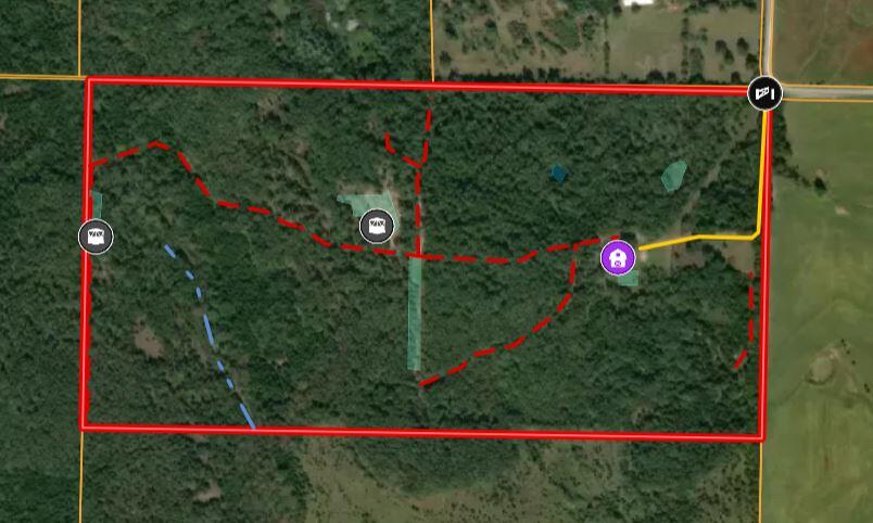 1197 Mulberry Road Property Photo 2