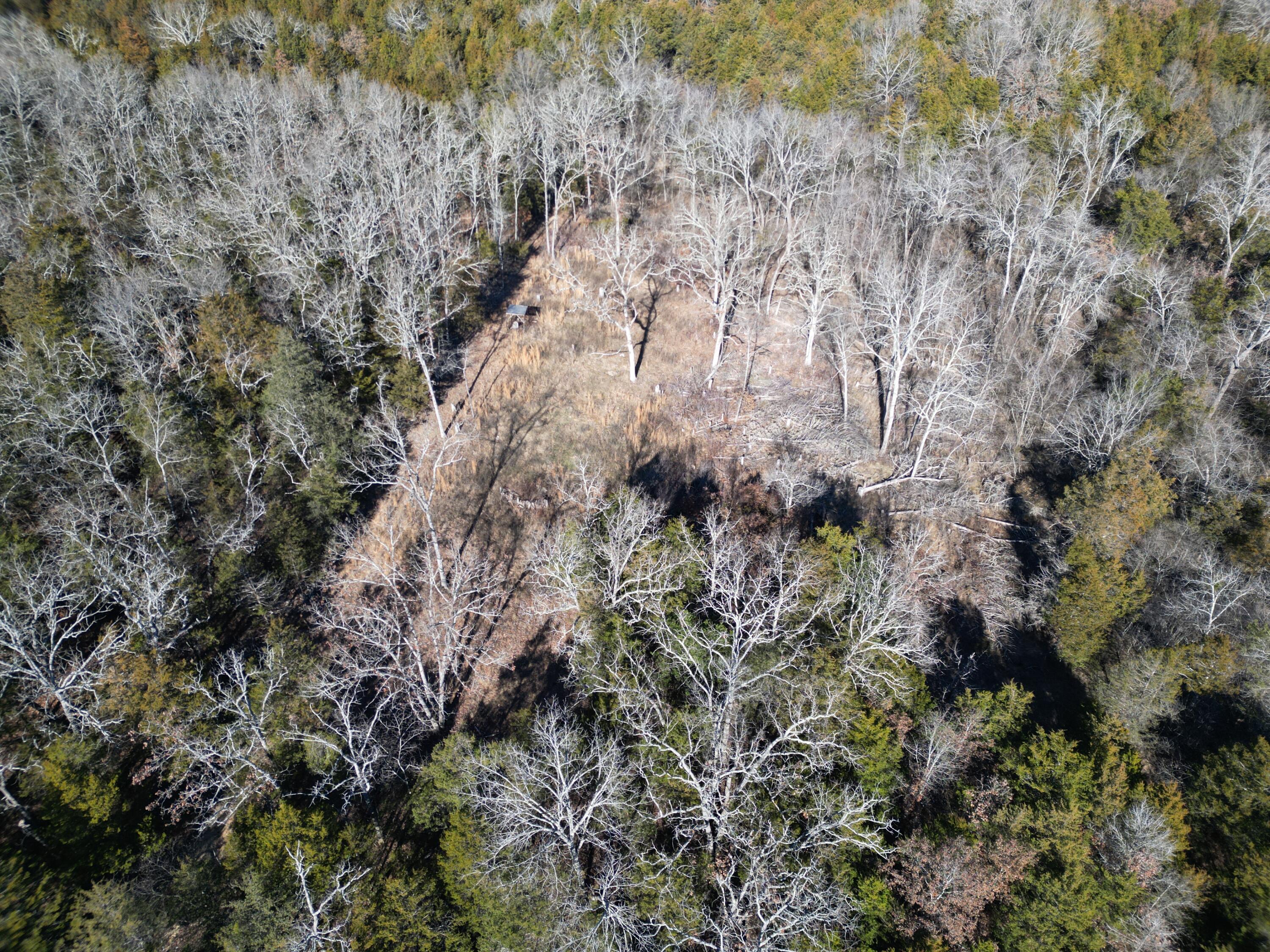 1197 Mulberry Road Property Photo 4