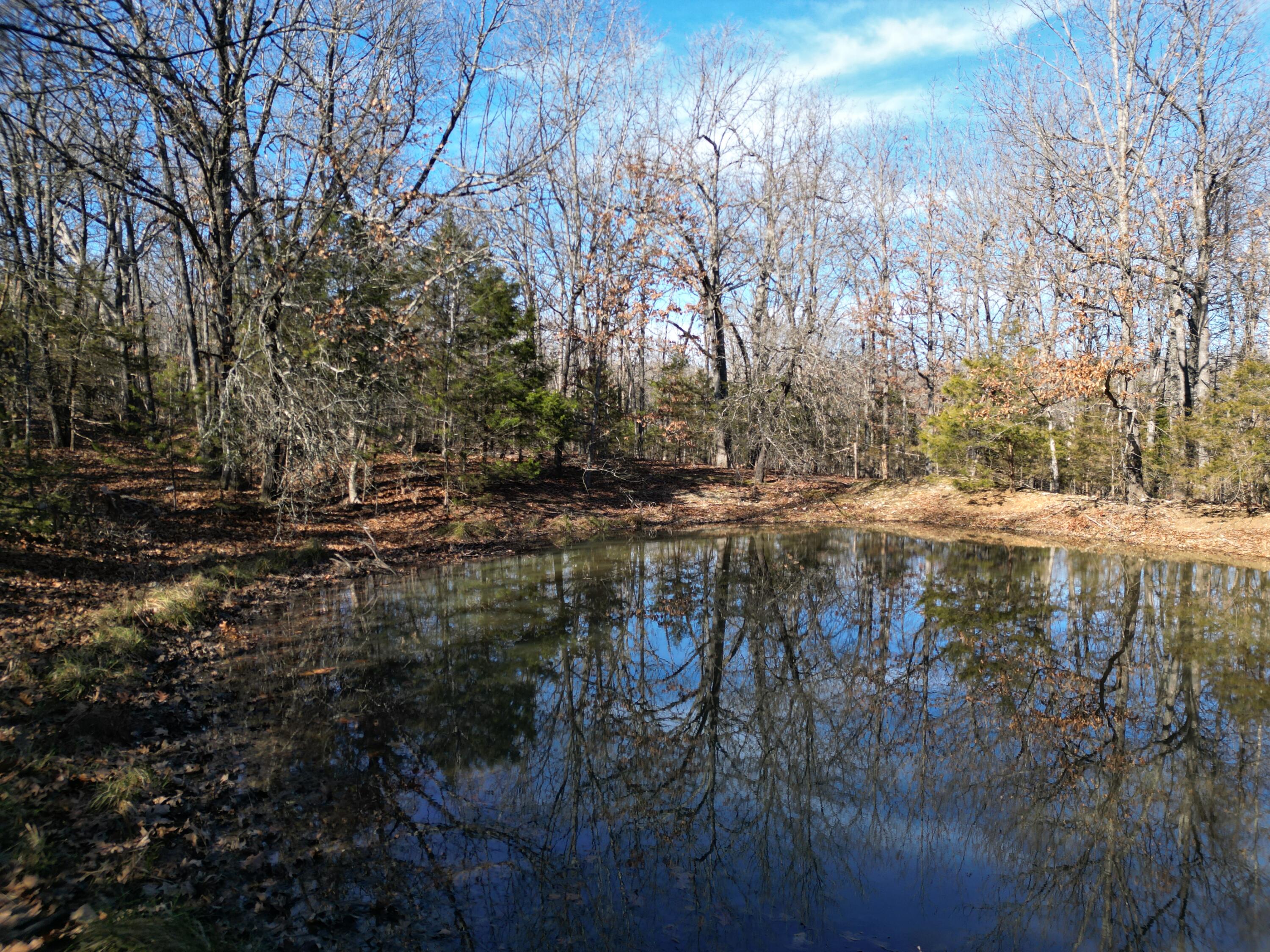 1197 Mulberry Road Property Photo 5