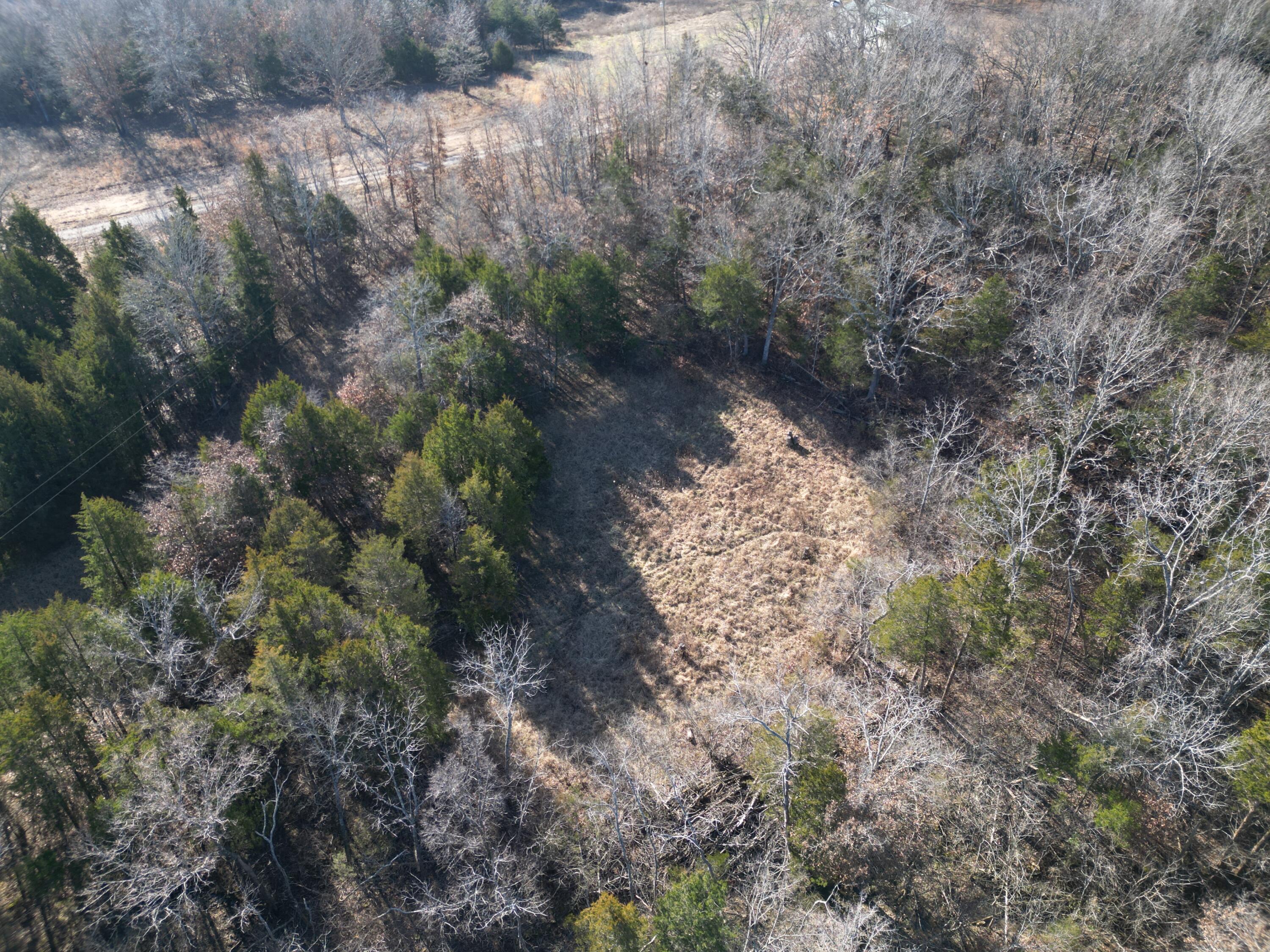 1197 Mulberry Road Property Photo 6