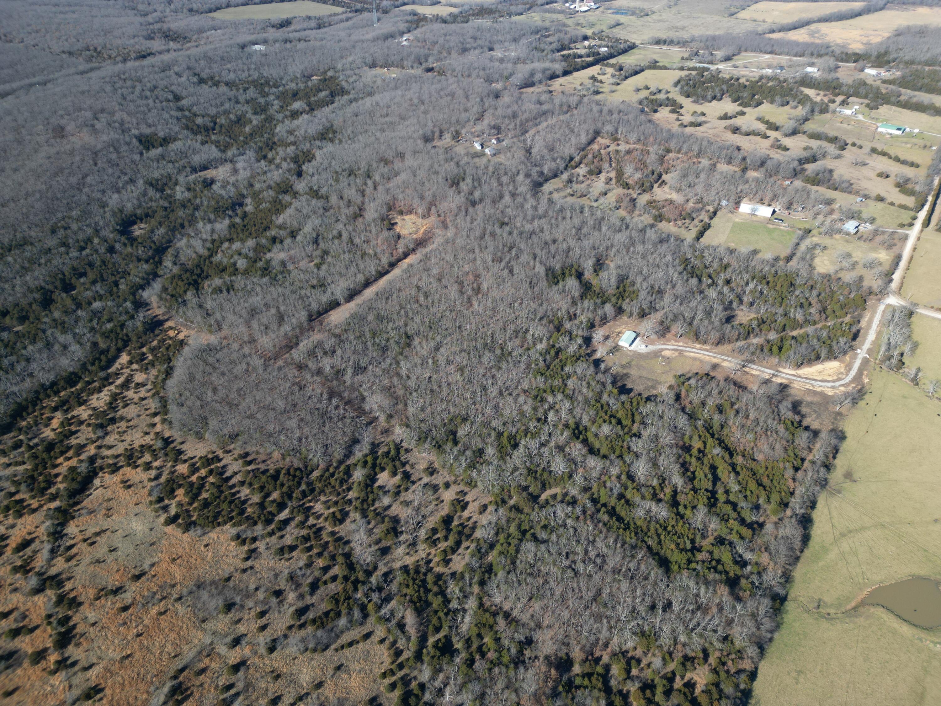 1197 Mulberry Road Property Photo 8