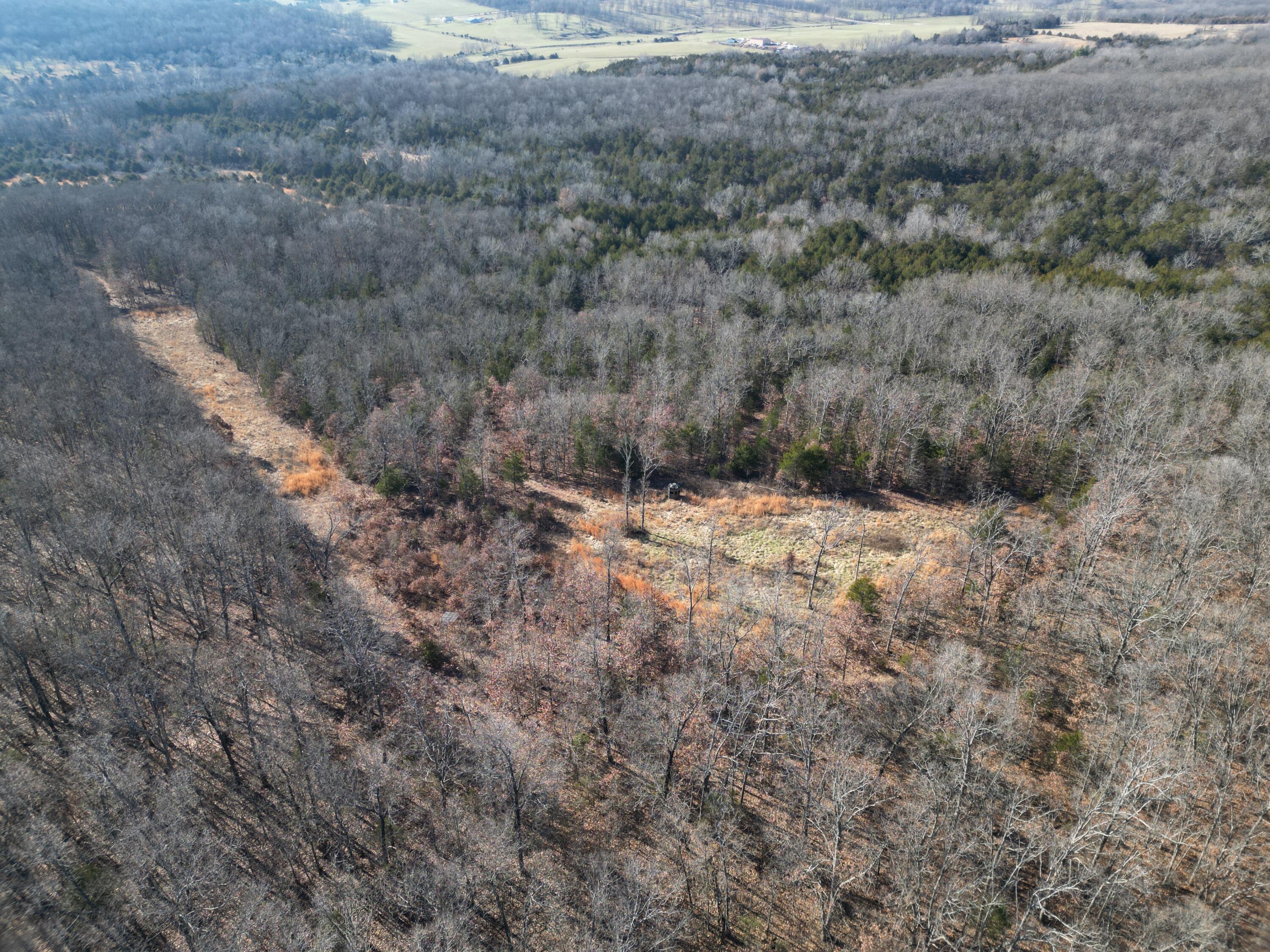1197 Mulberry Road Property Photo 10