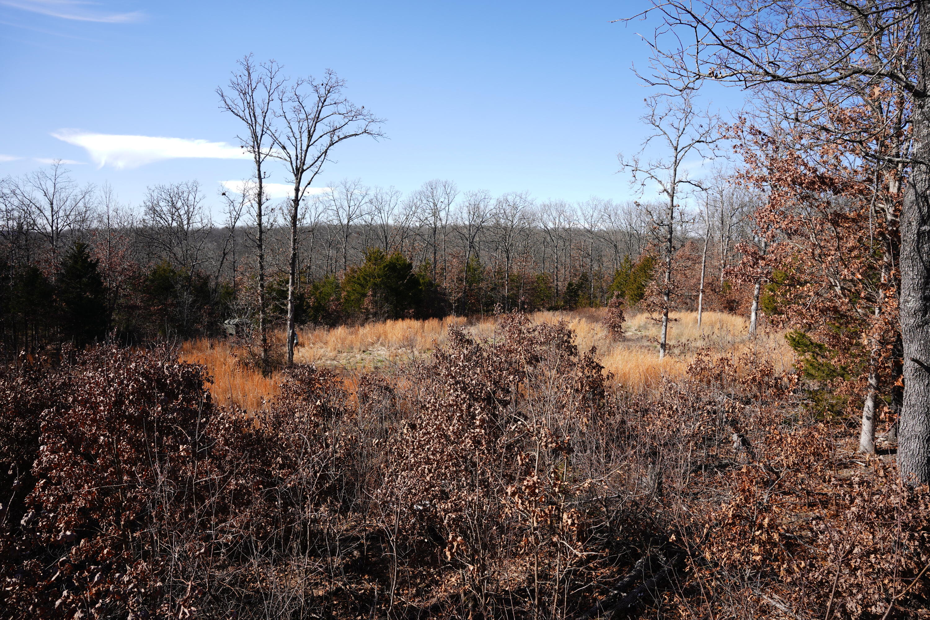 1197 Mulberry Road Property Photo 17