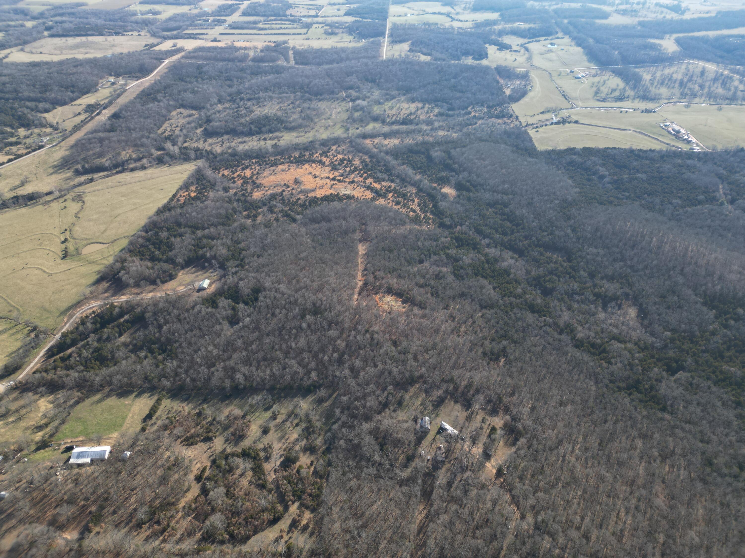 1197 Mulberry Road Property Photo 21