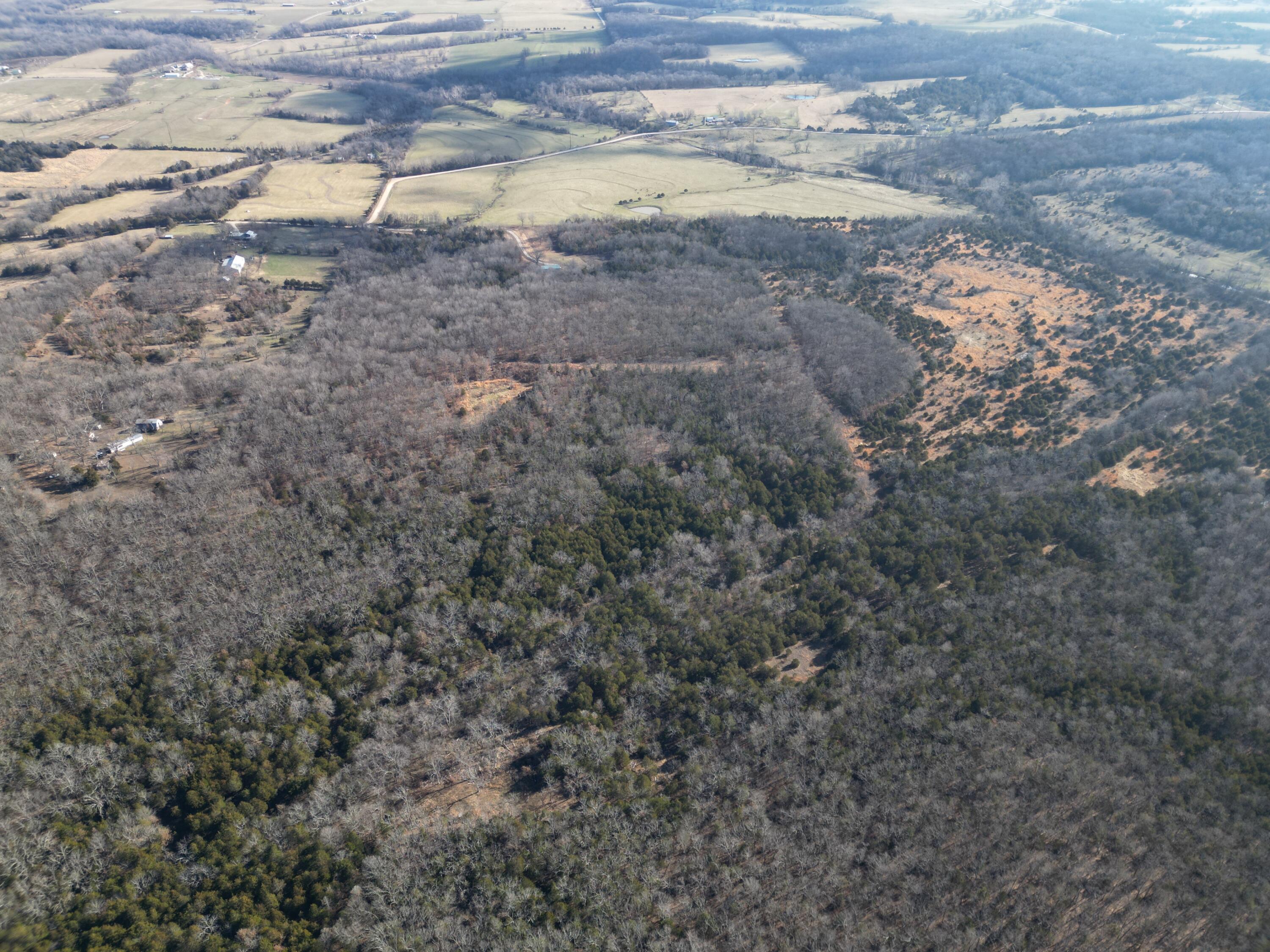 1197 Mulberry Road Property Photo 22