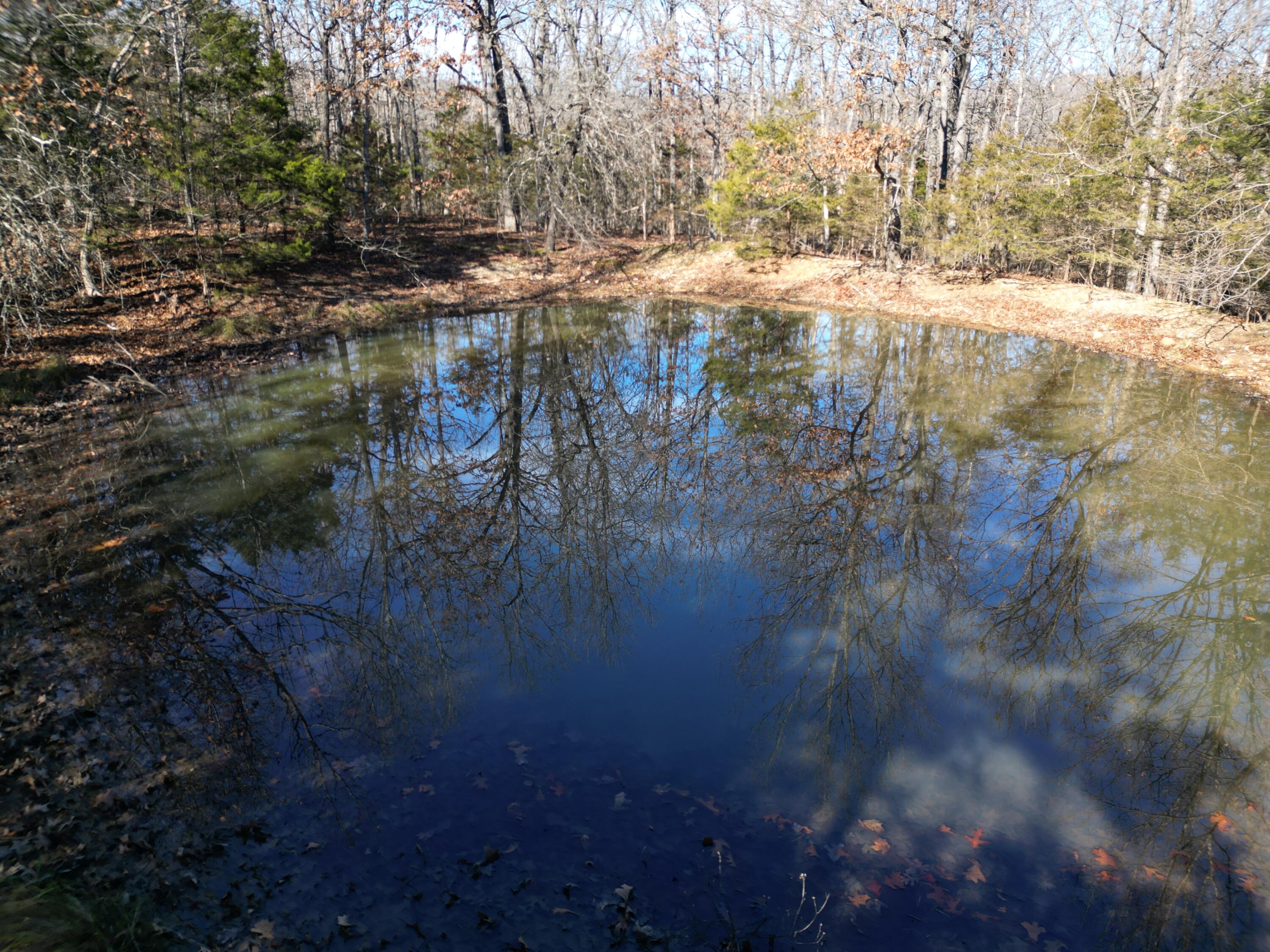 1197 Mulberry Road Property Photo 24