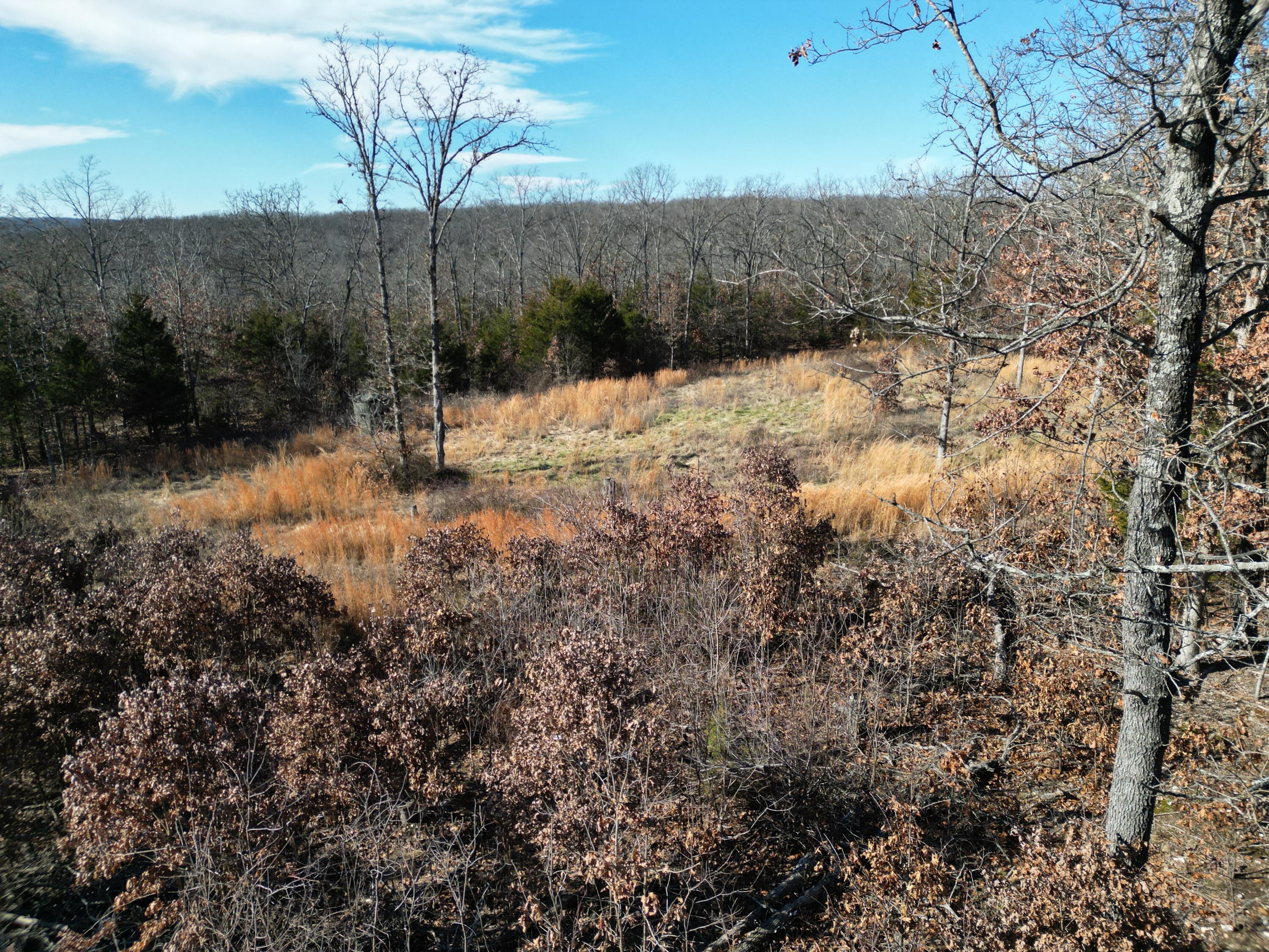 1197 Mulberry Road Property Photo 26