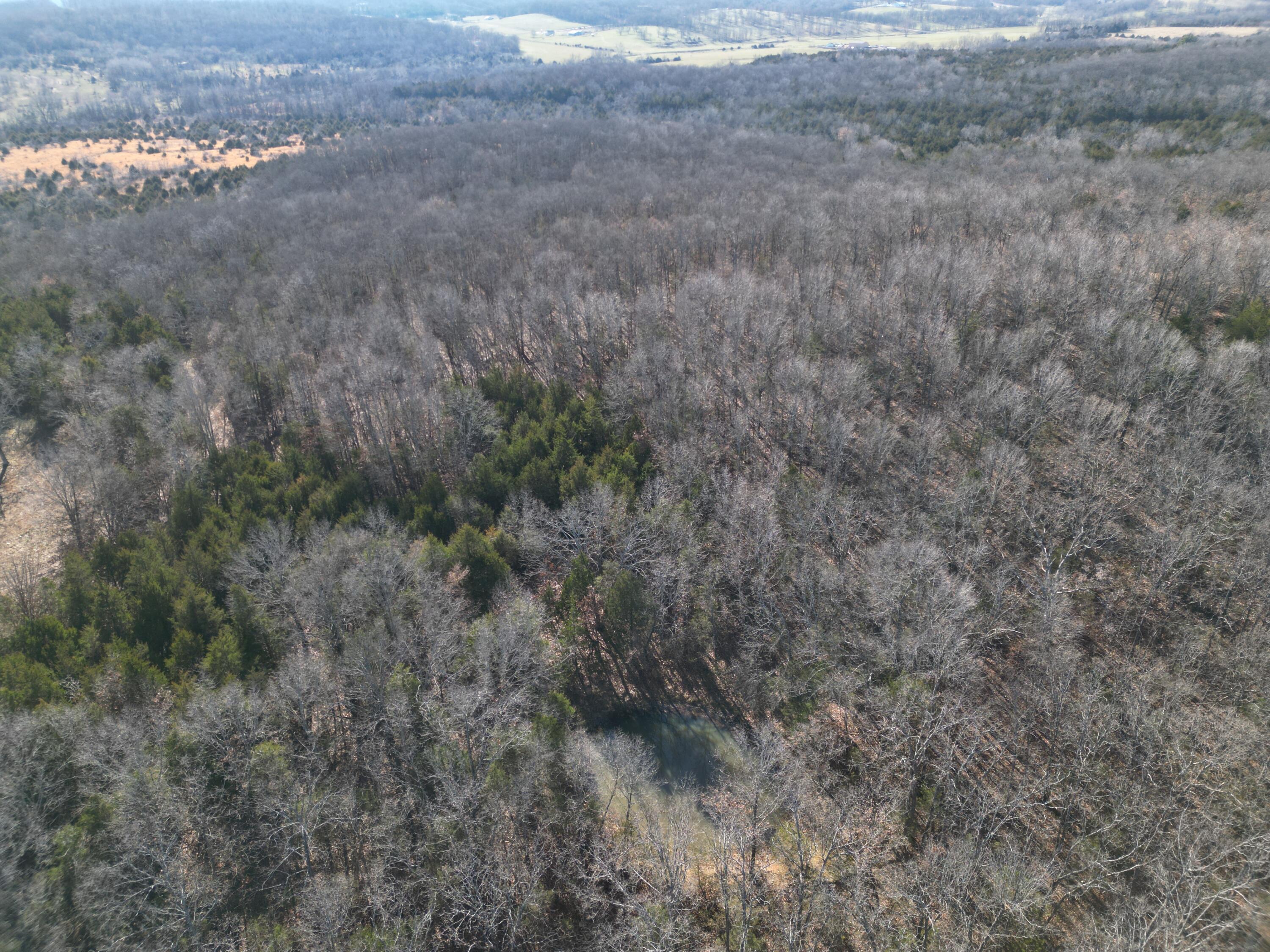1197 Mulberry Road Property Photo 28
