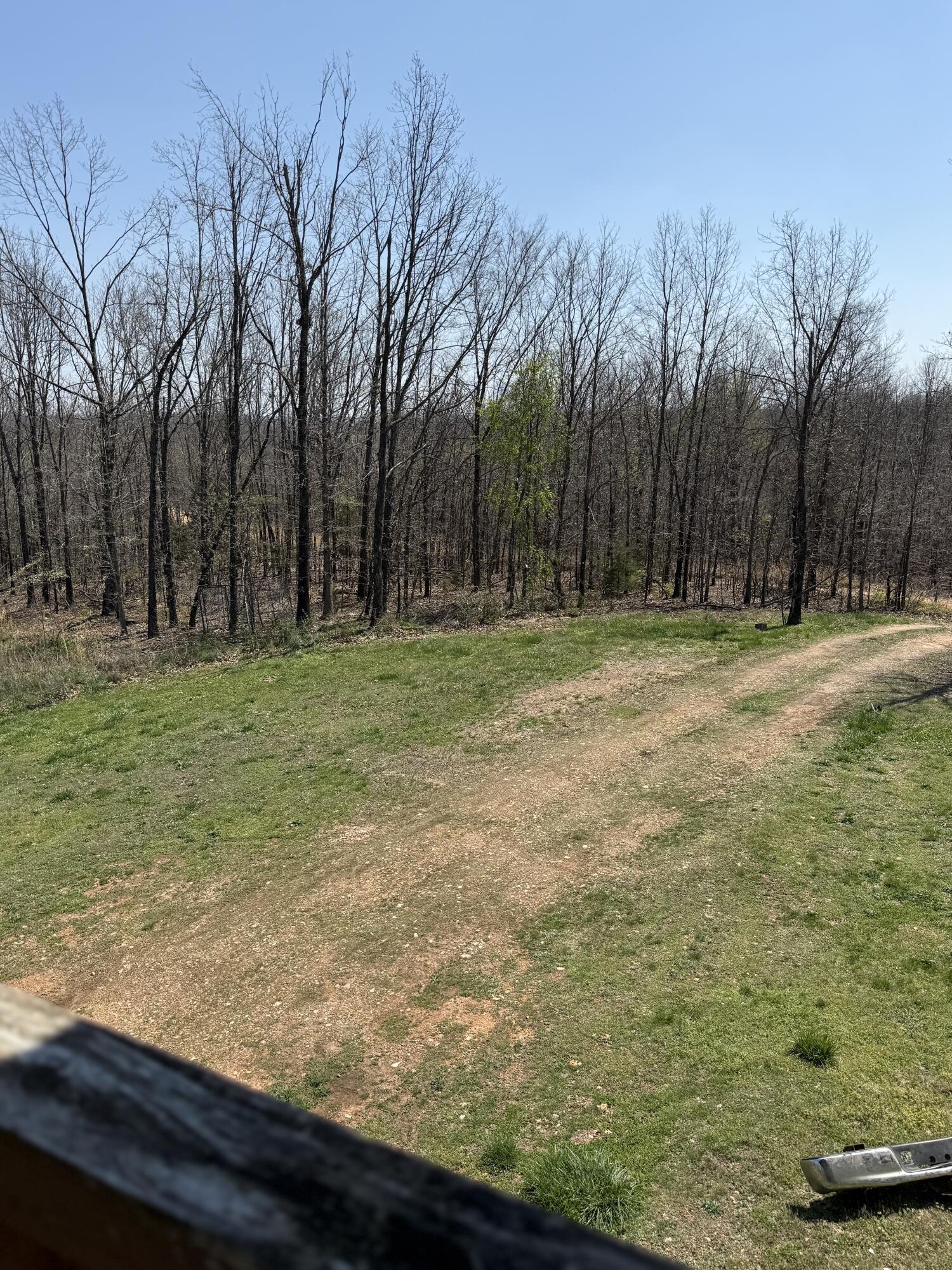 213 Grand Lane Property Photo 9