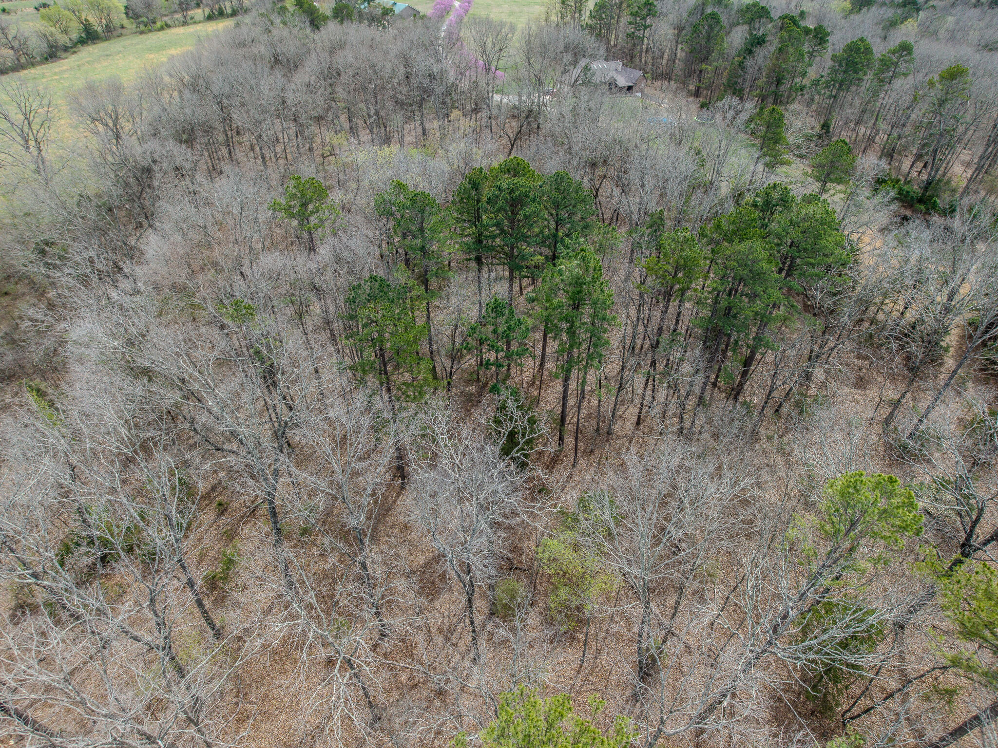 000 Oak Hill Road Property Photo 15