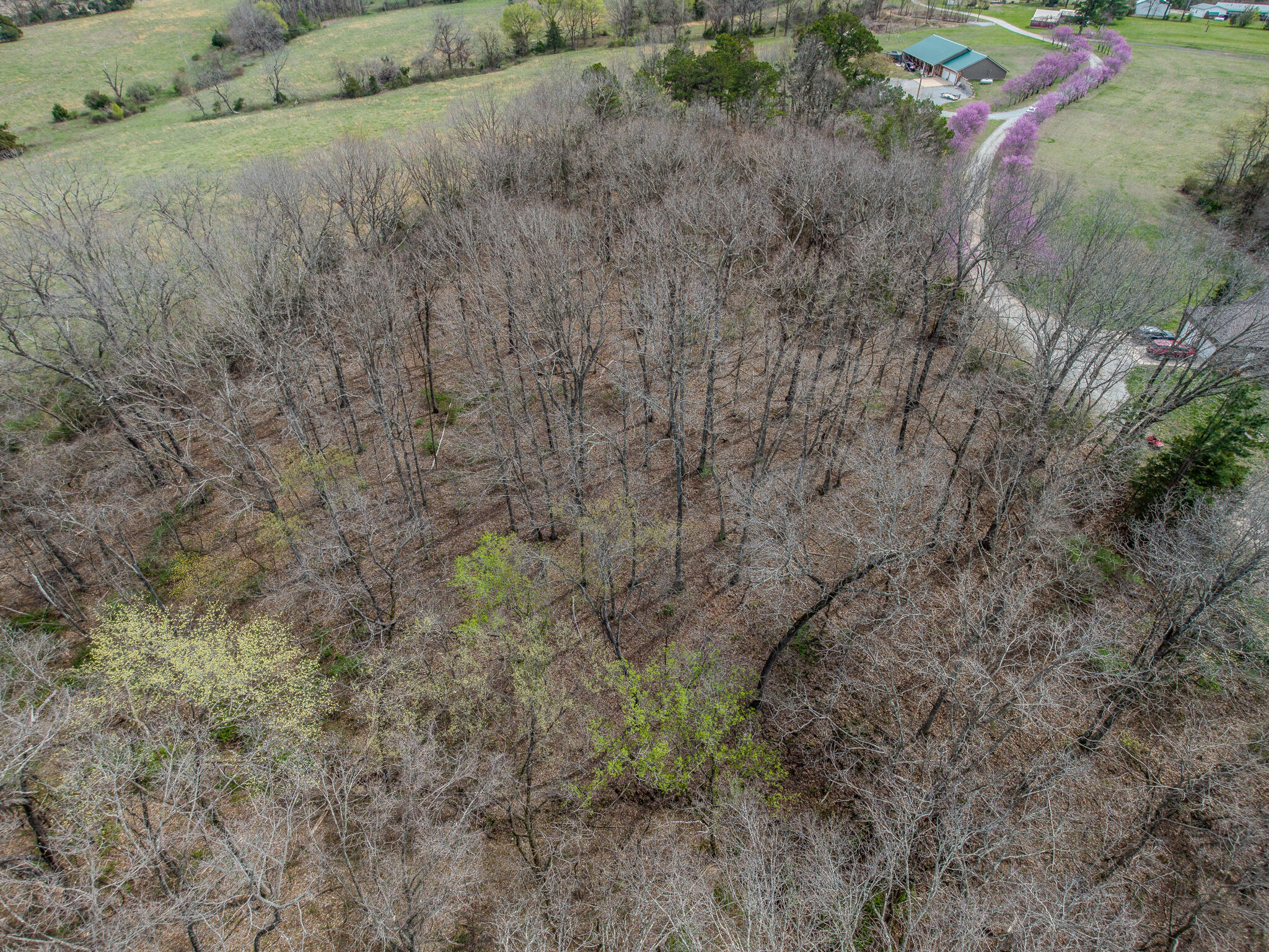 000 Oak Hill Road Property Photo 16