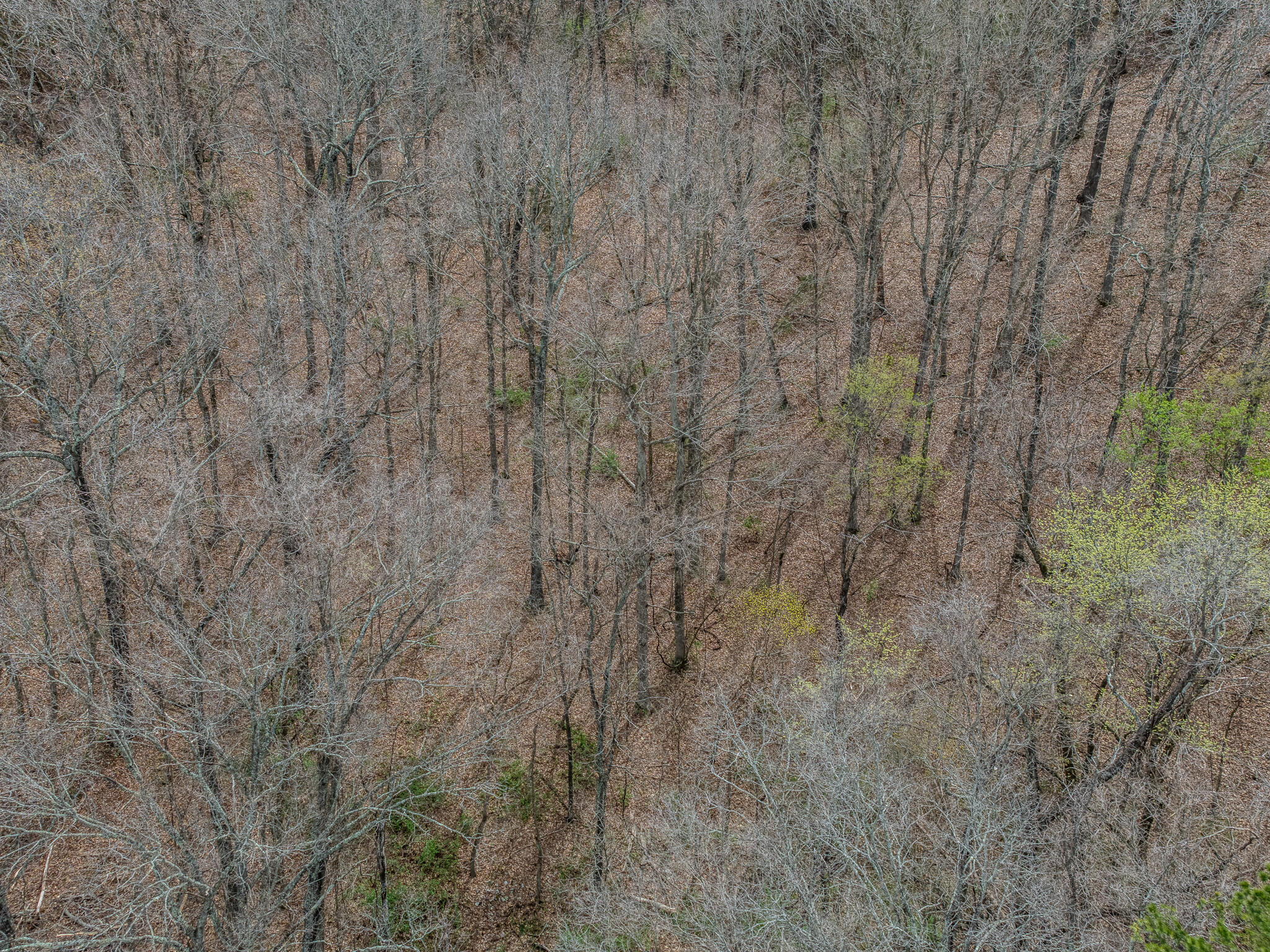 000 Oak Hill Road Property Photo 17