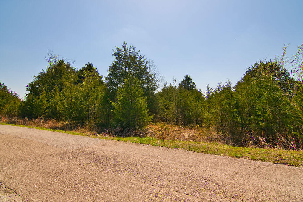 000 Mills Hollow Road Property Photo 6